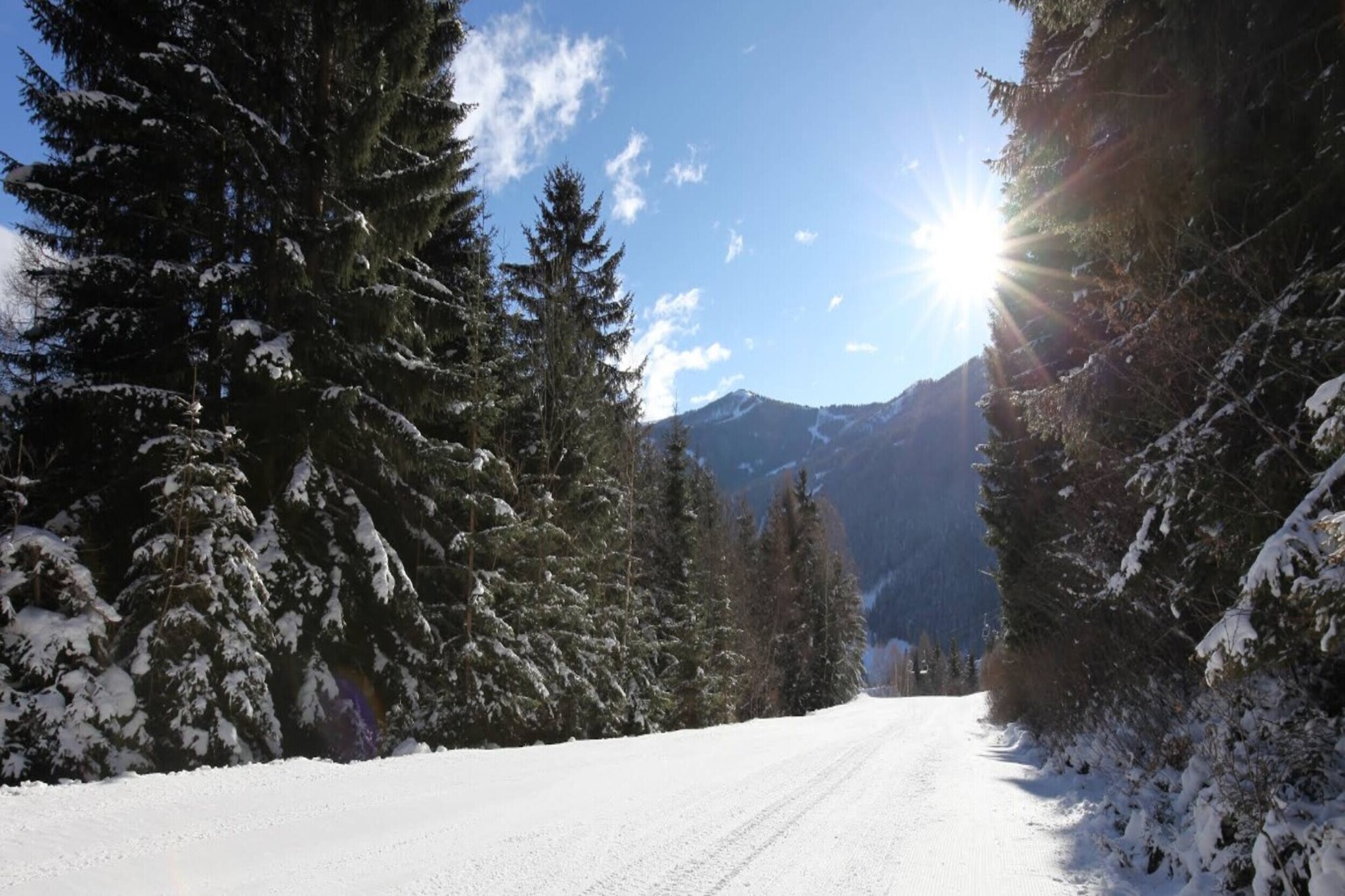 Apartment in Bad Kleinkirchheim by Ski Slope