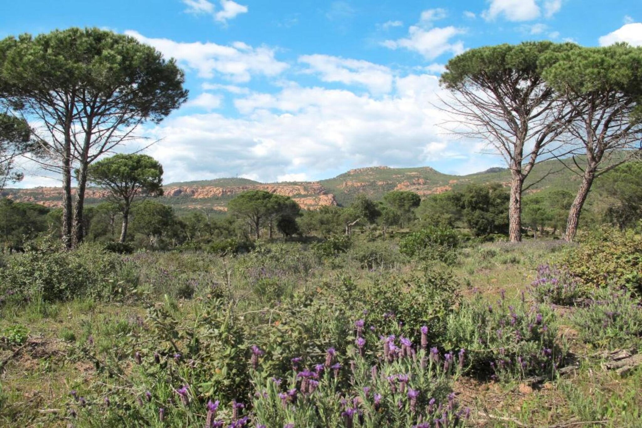 Villa Le Saint Tropez-Gebieden zomer 20km