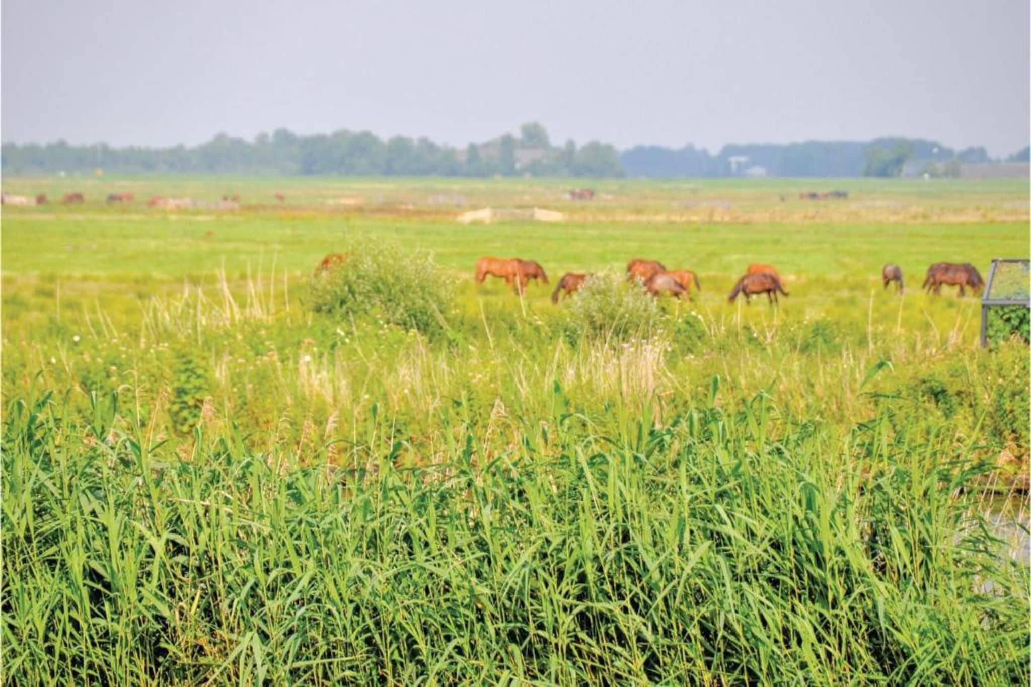 Prachtig appartement in hartje Sneek-Zones d'été à 20 km