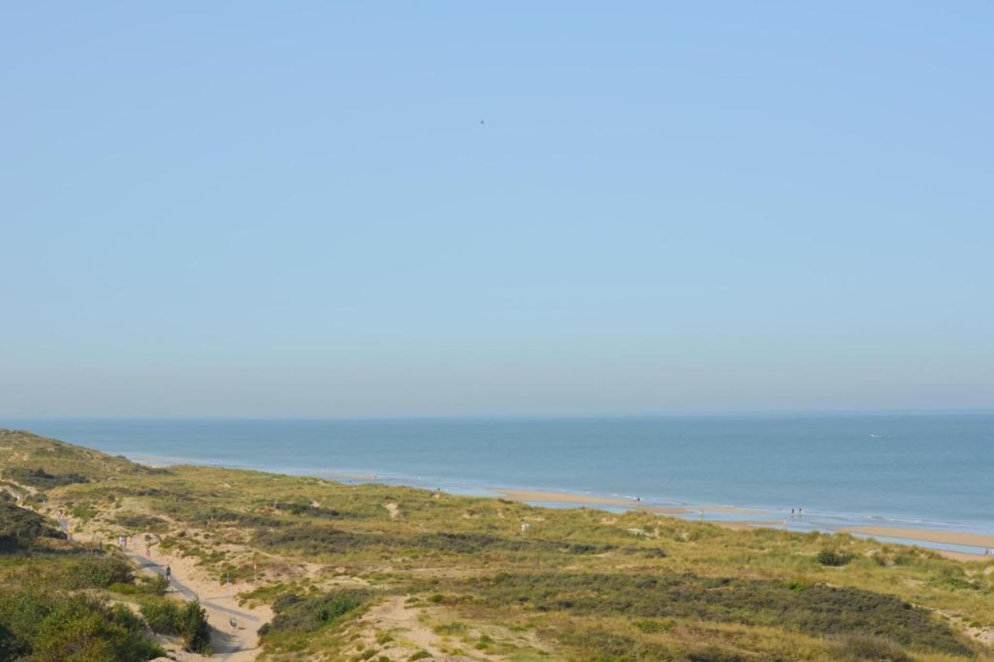 GAUQCD/GAUD2-Gebieden zomer 5km