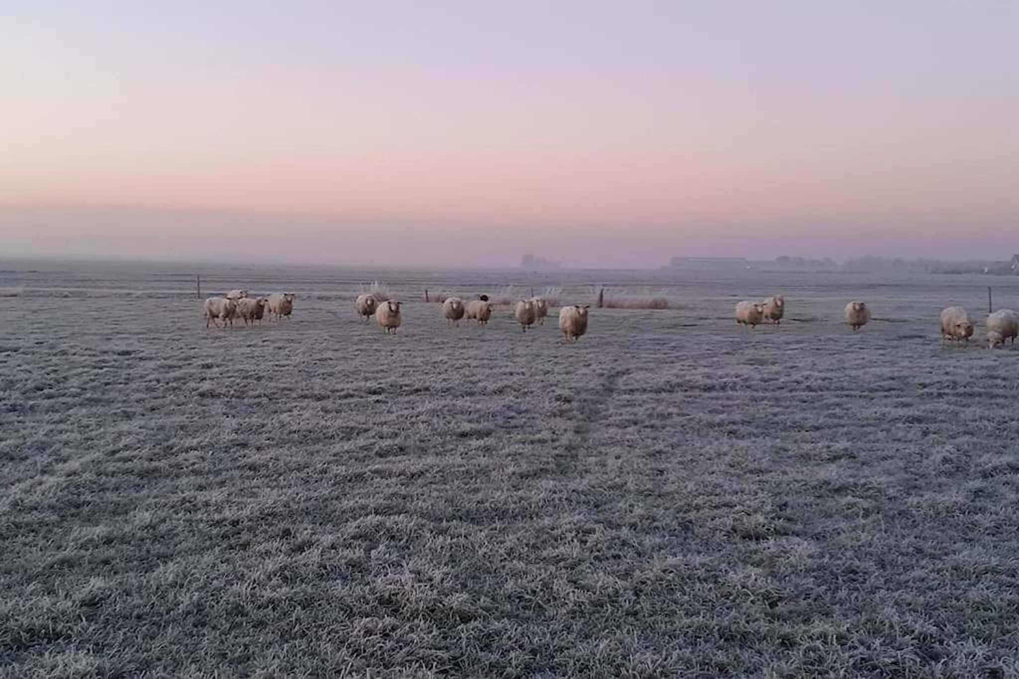 Grutto-View winter