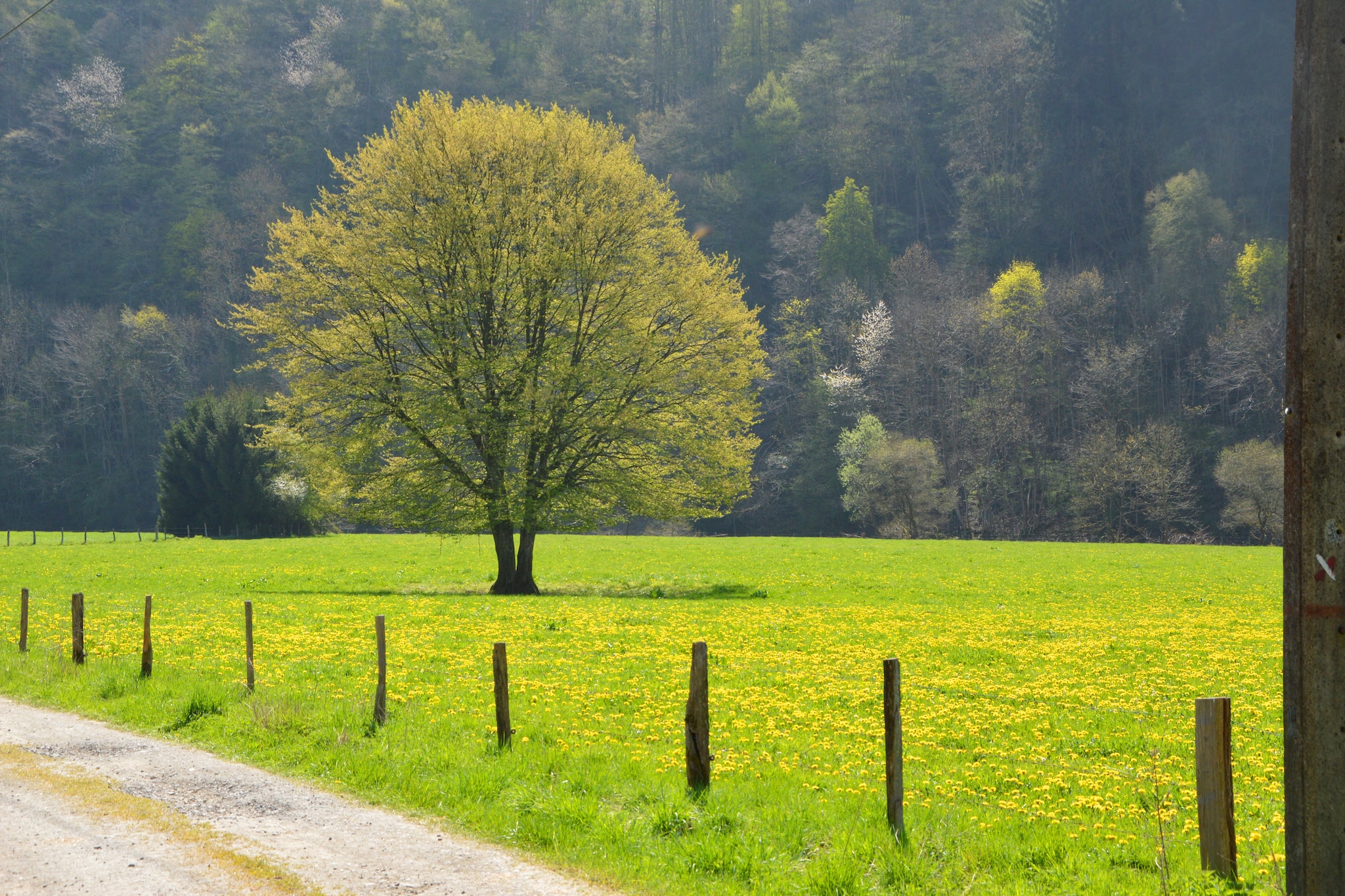 Le Simplement 2-Gebieden zomer 20km