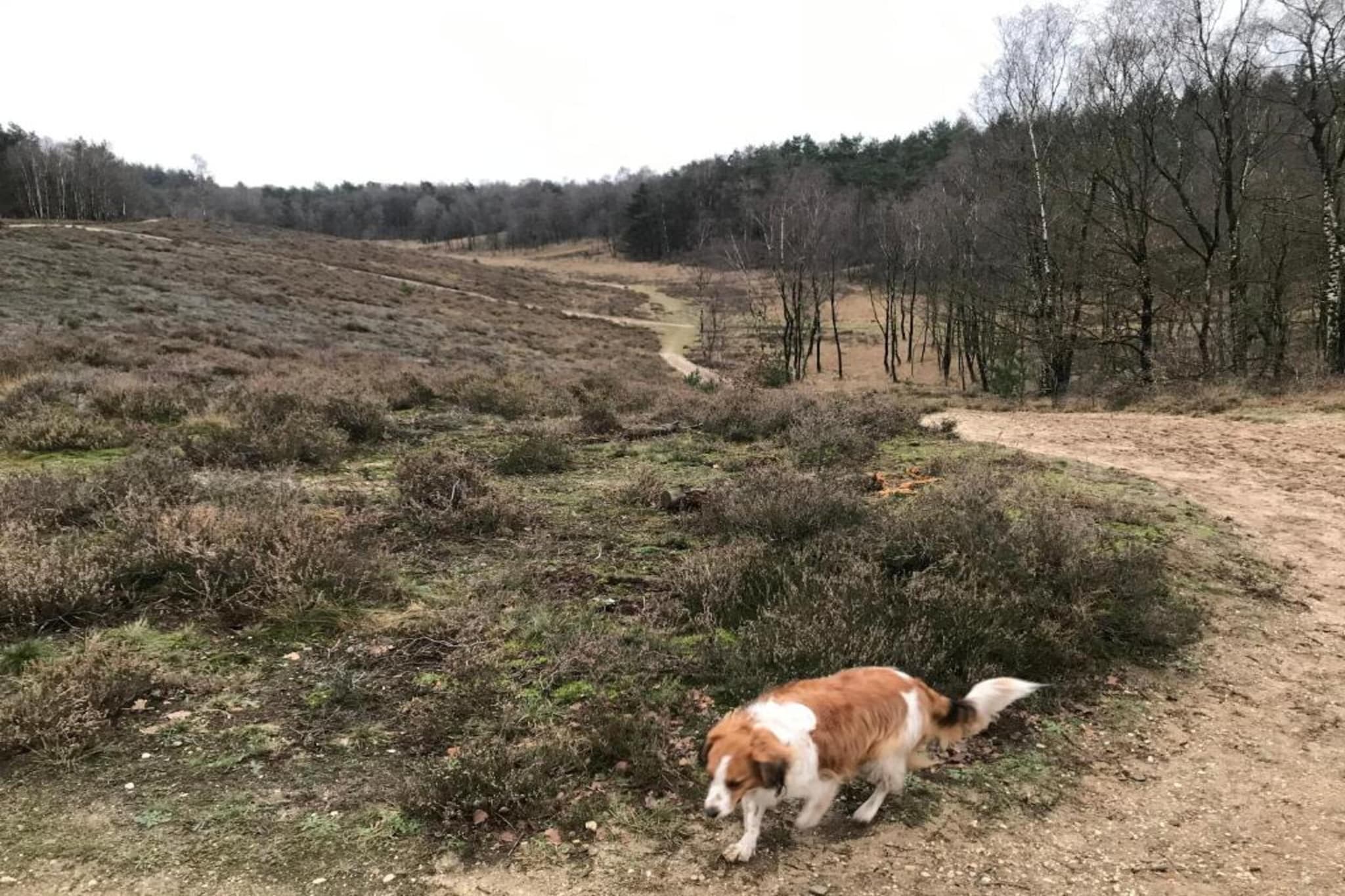 Vlindervallei Studio 2p-Gebiete Sommer 5 km