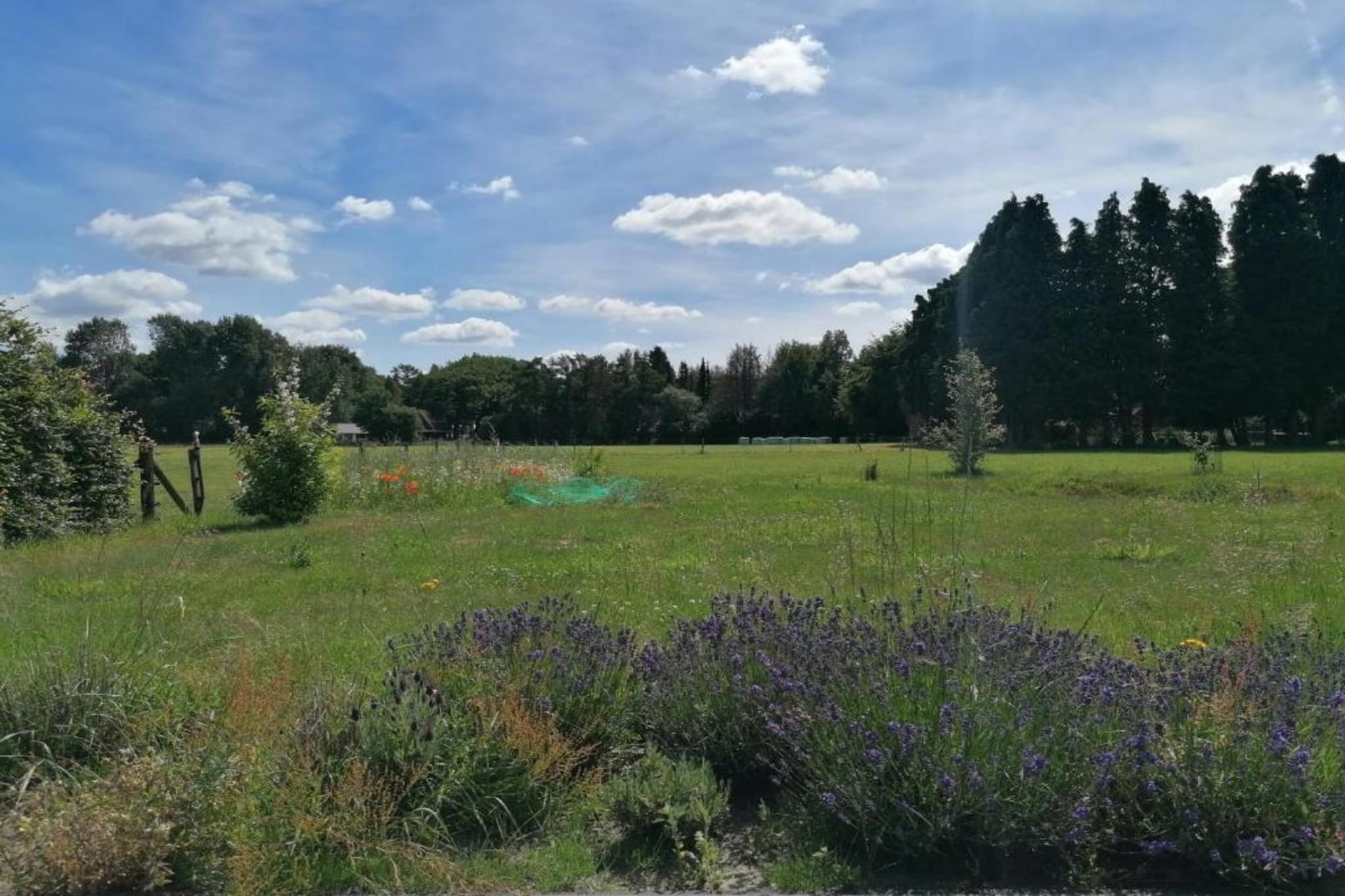 Vlindervallei Studio 2p-Gebiete Sommer 5 km