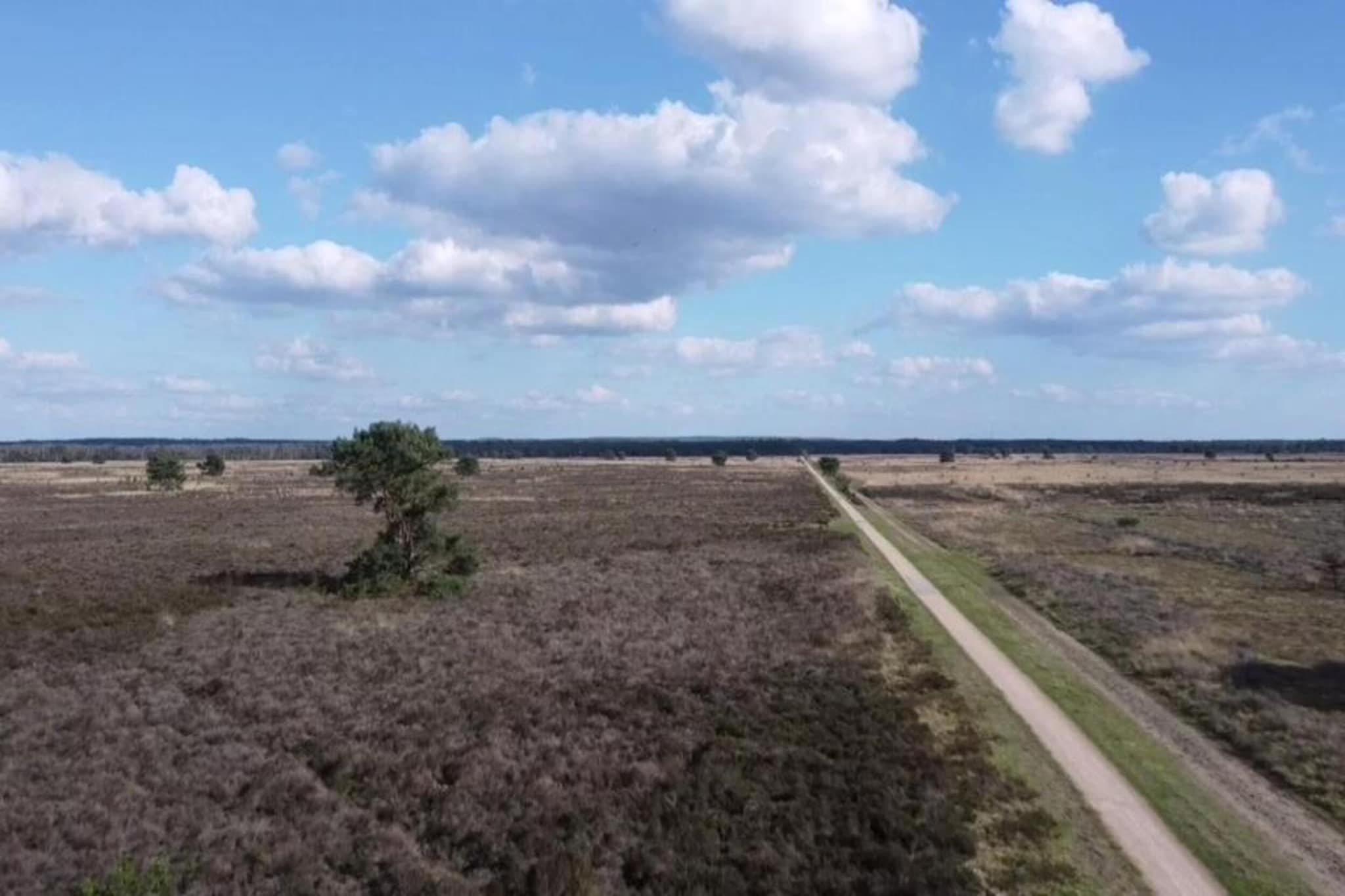 Vlindervallei Studio 2p-Gebiete Sommer 5 km