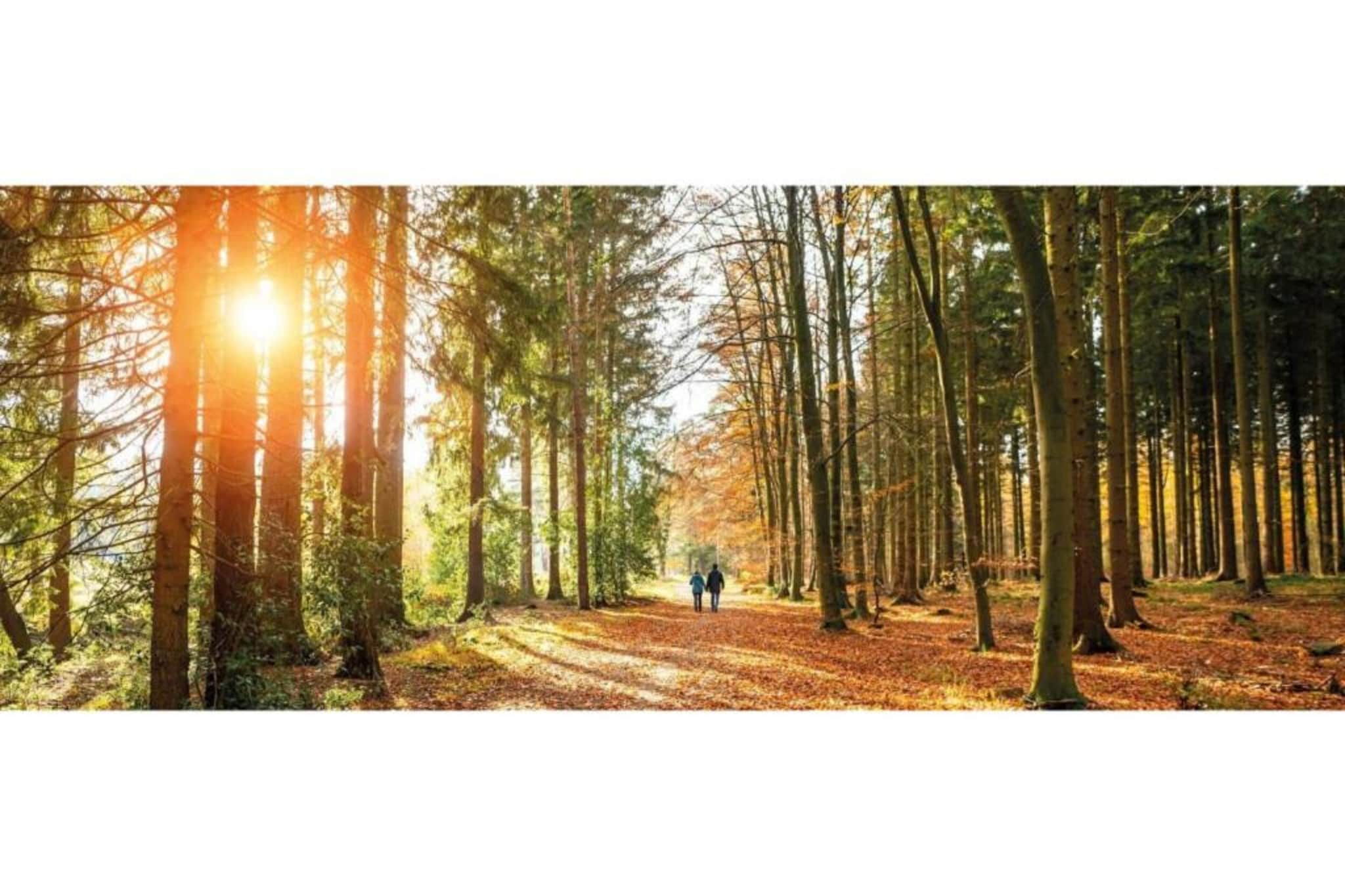 Vlindervallei Studio 2p-Gebiete Sommer 5 km