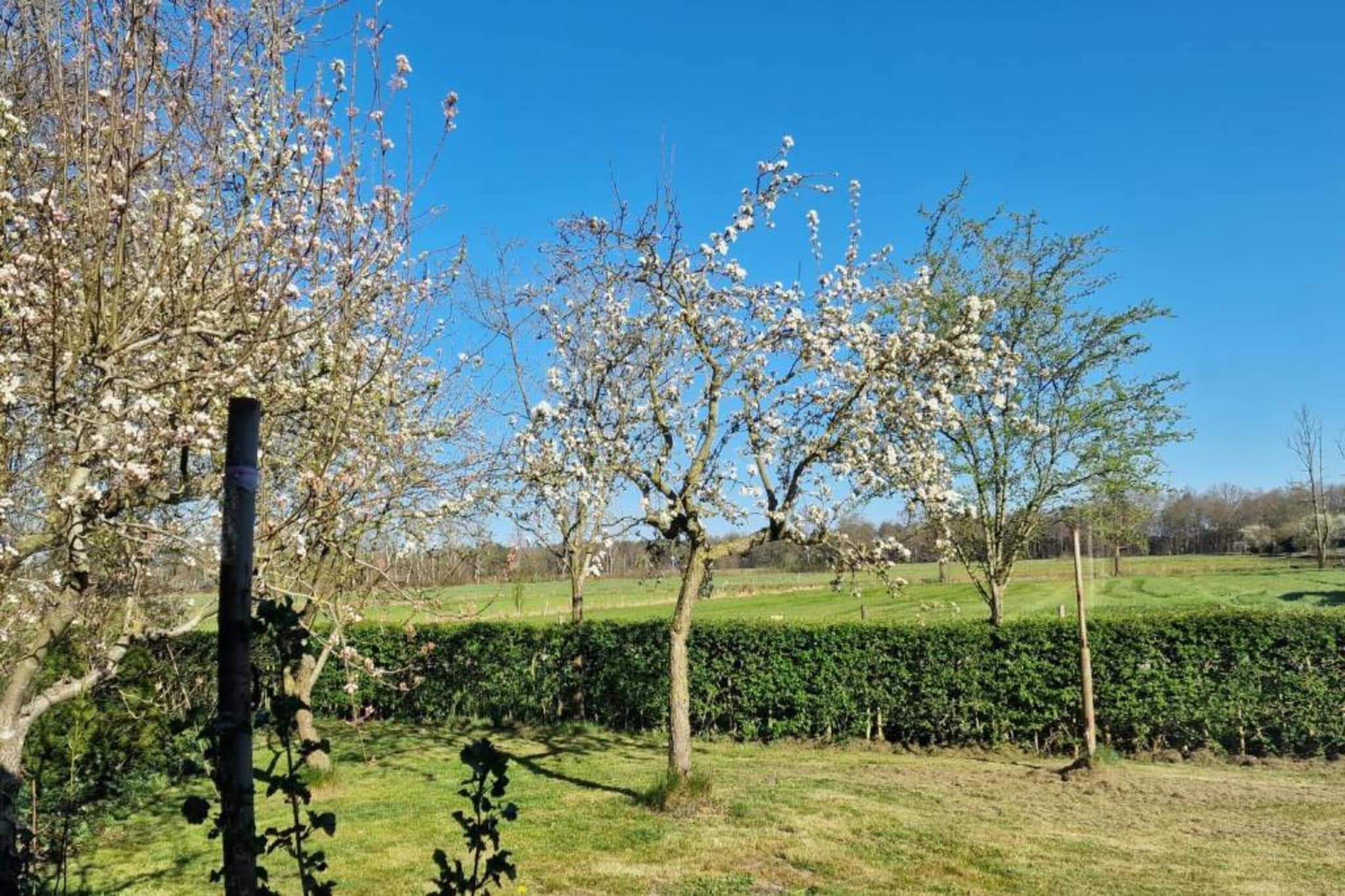 Vlindervallei Studio 2p-Gebiete Sommer 5 km