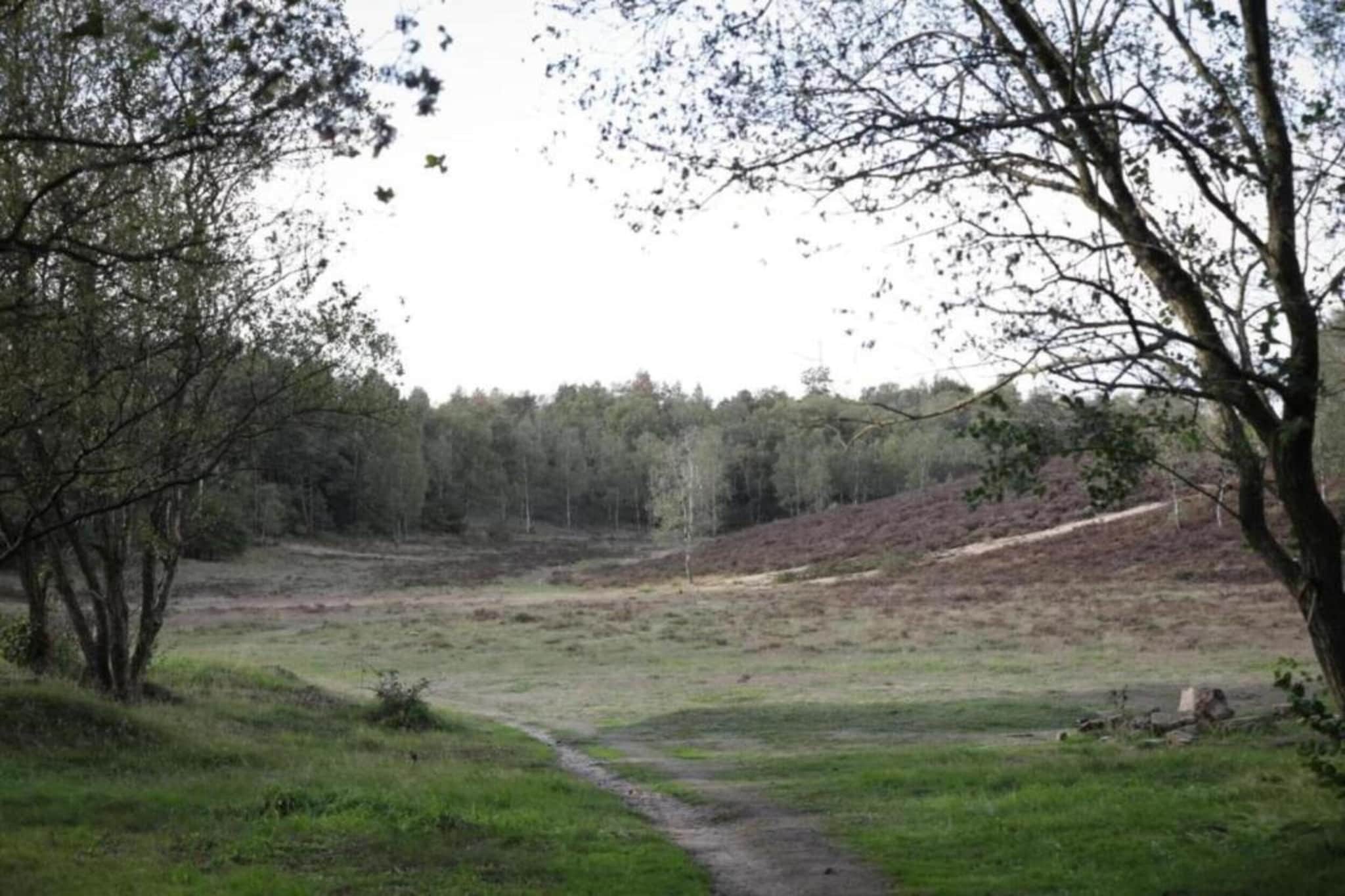 Vlindervallei Studio 2p-Gebiete Sommer 5 km