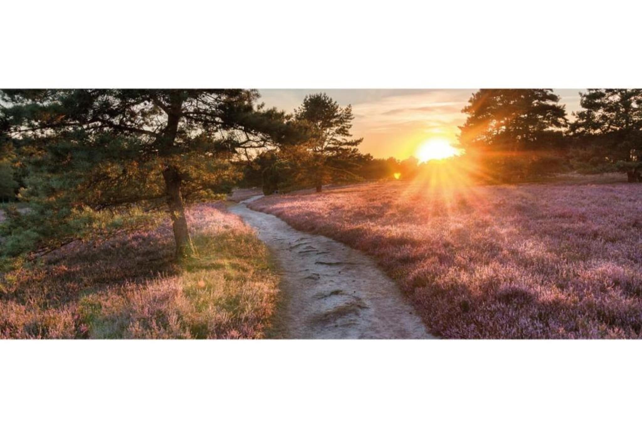 Heivlinder Personal Style 4 p ** - Gebieden zomer 5km