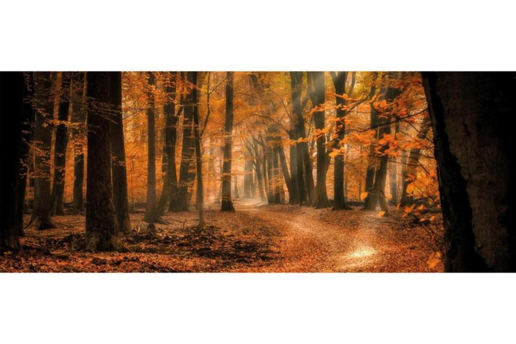 Heivlinder Personal Style 4 p ** - Gebieden zomer 5km