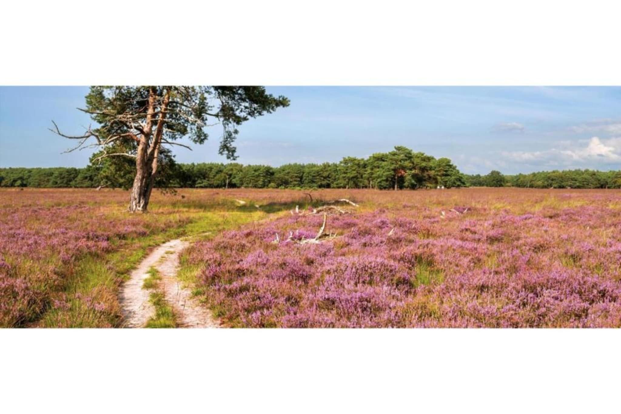 Heivlinder Personal Style 4 p ** - Gebieden zomer 5km