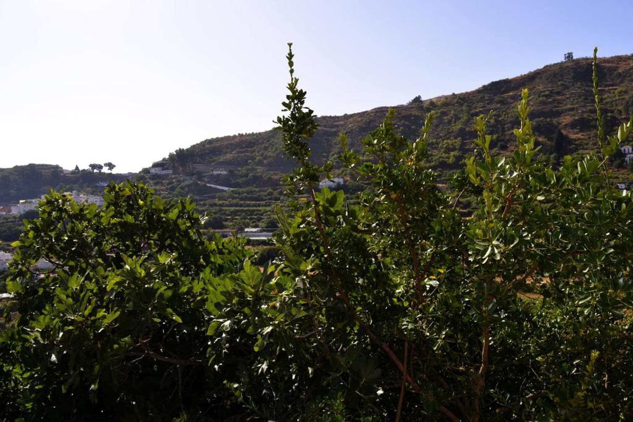 GC0149 Finca Cloty-Gebieden zomer 20km