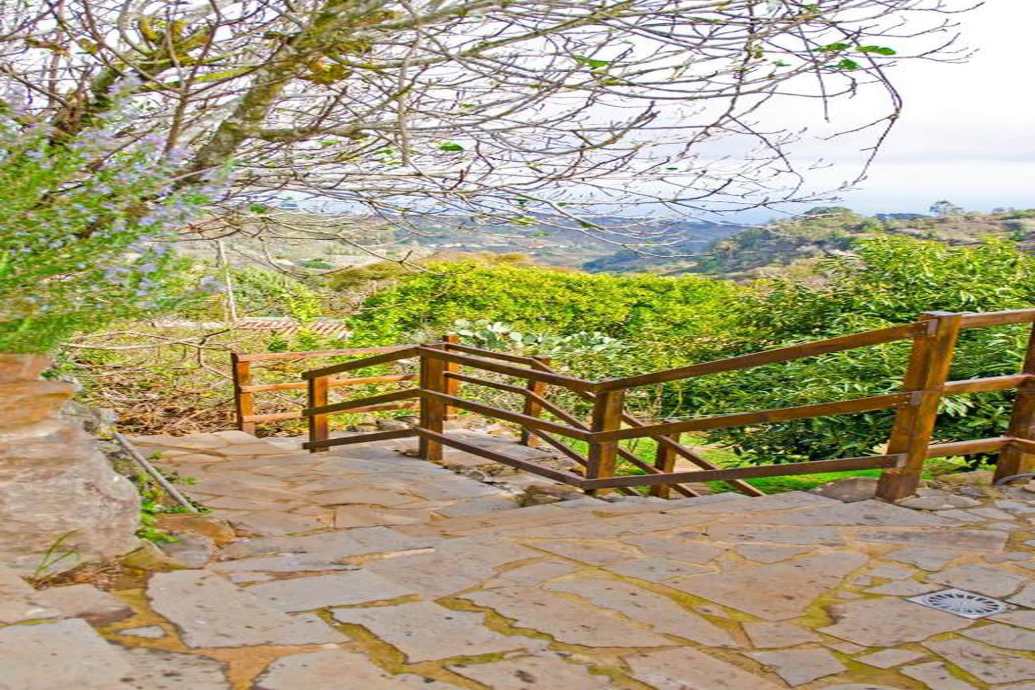 GC0003 Finca Casa Nanita C-Gebieden zomer 20km