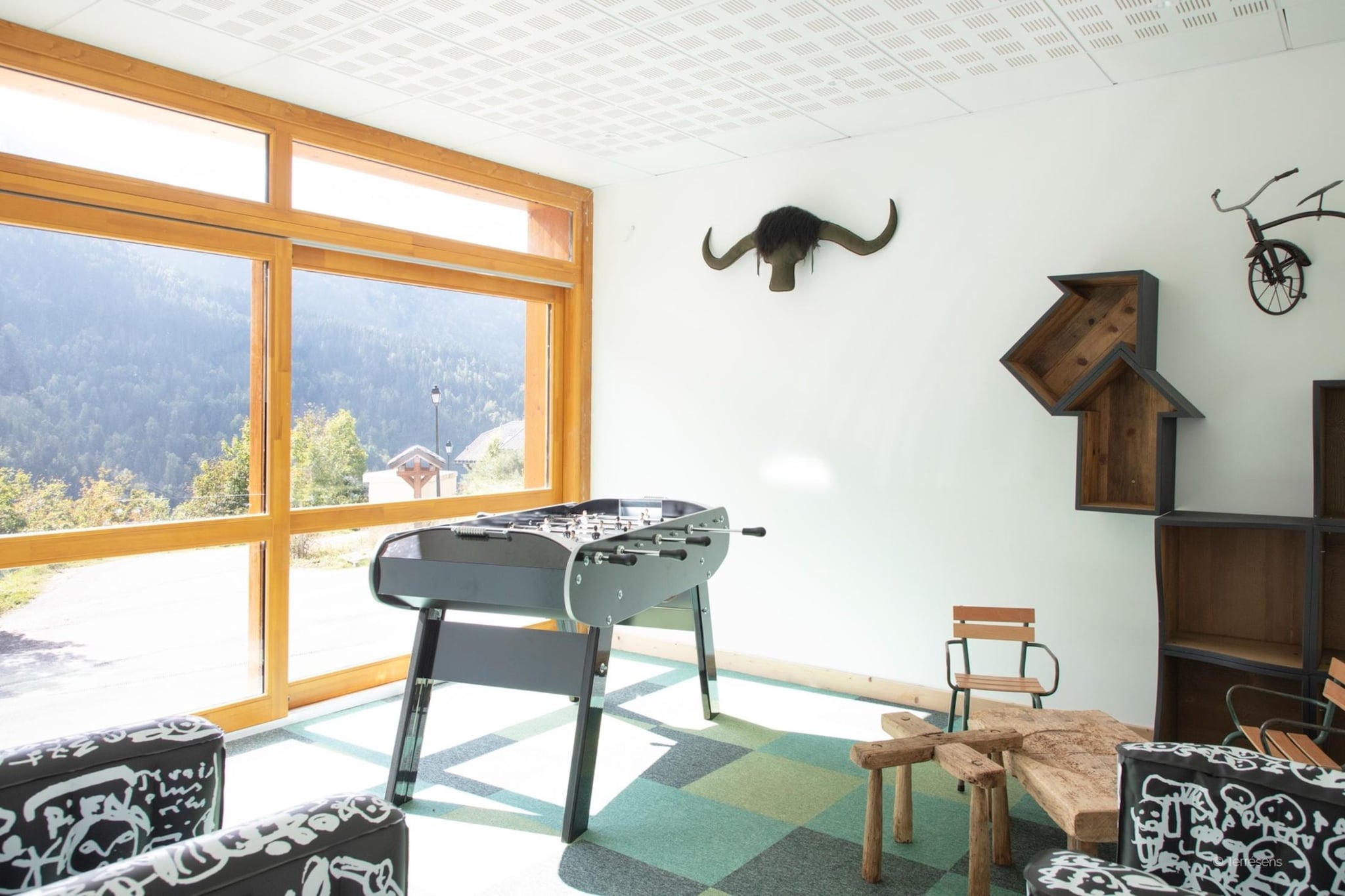 VAUJANY Edelweiss-A36S-Faciliteiten