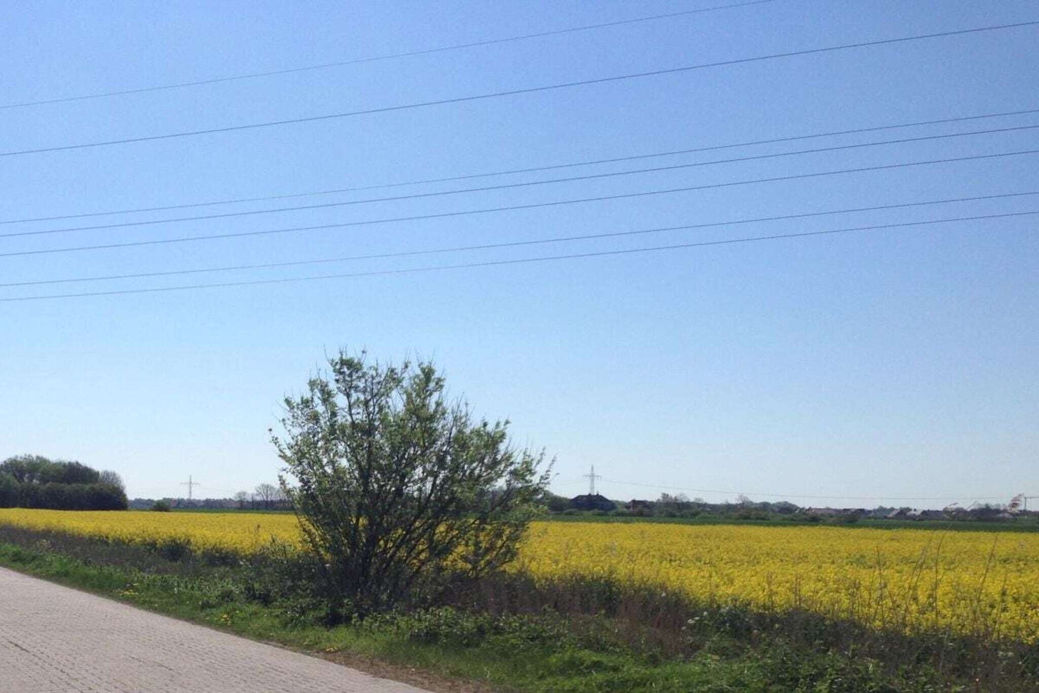 165895-Zones été à 5 km