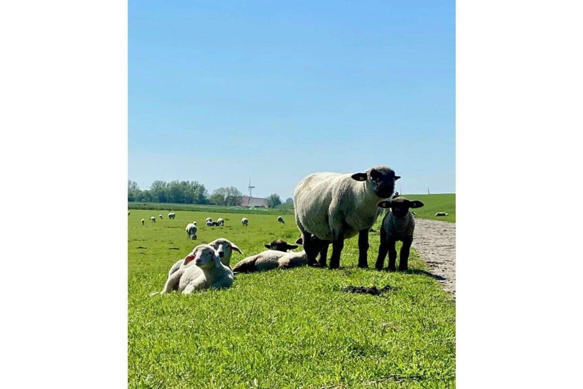 165895-Zones été à 5 km