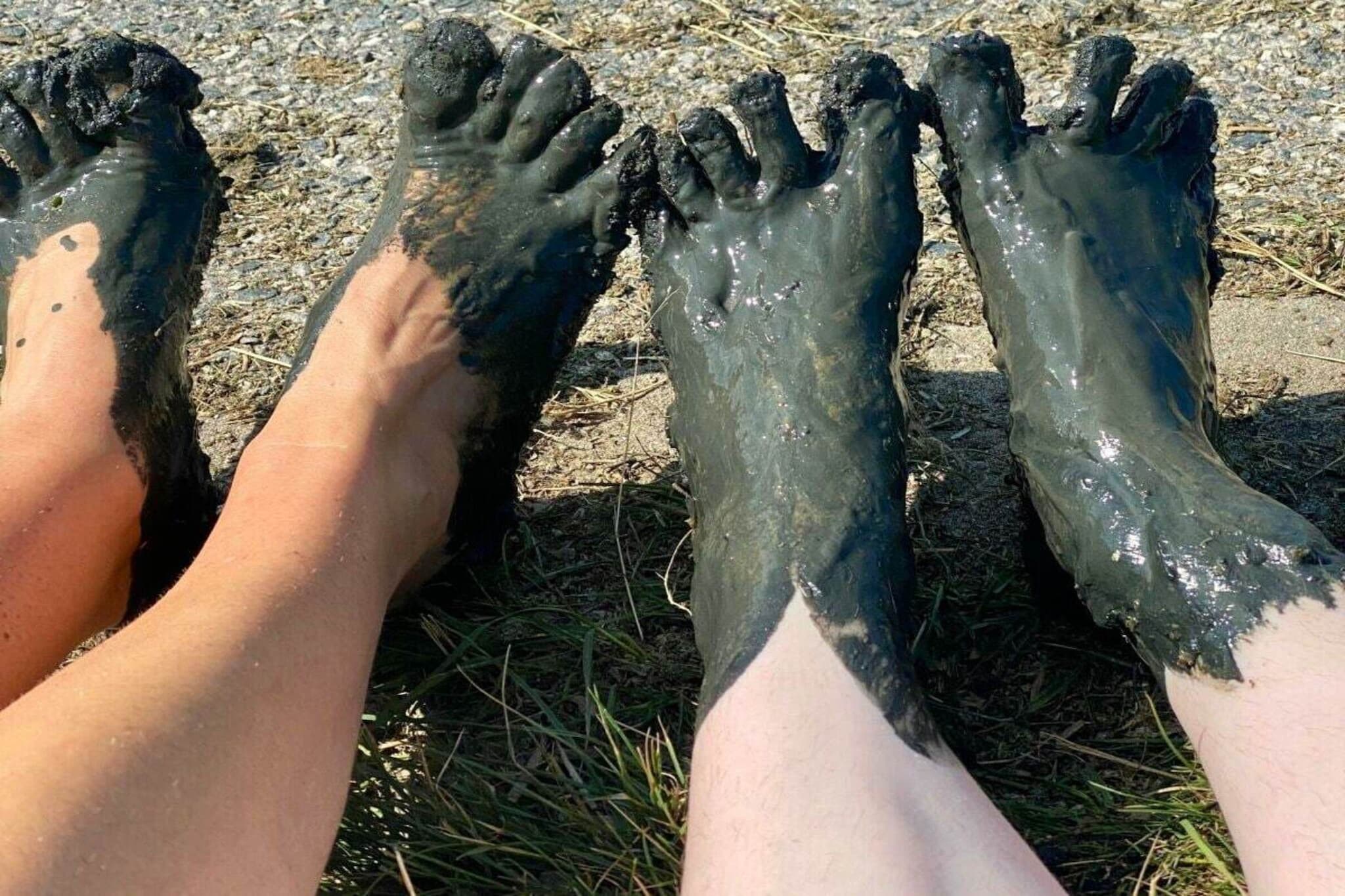 165895-Zones été à 5 km