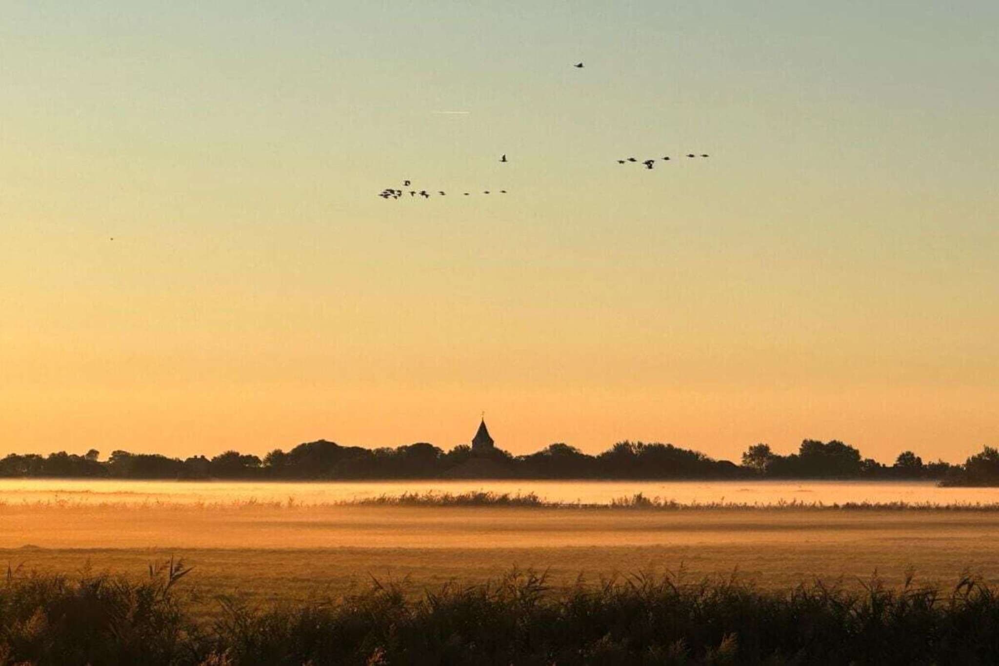 579042-Buitenkant zomer