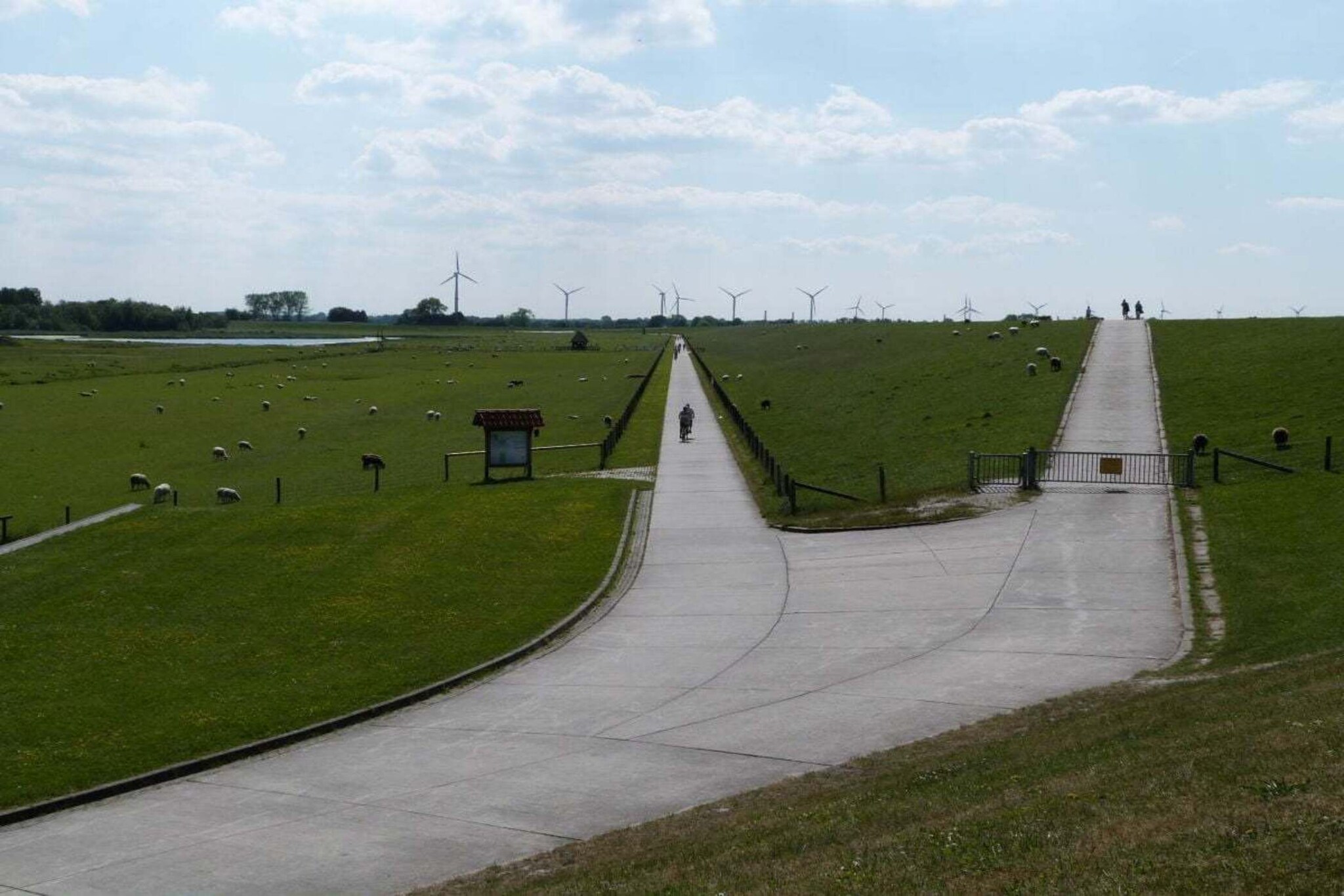 229889-Gebieden zomer 5km