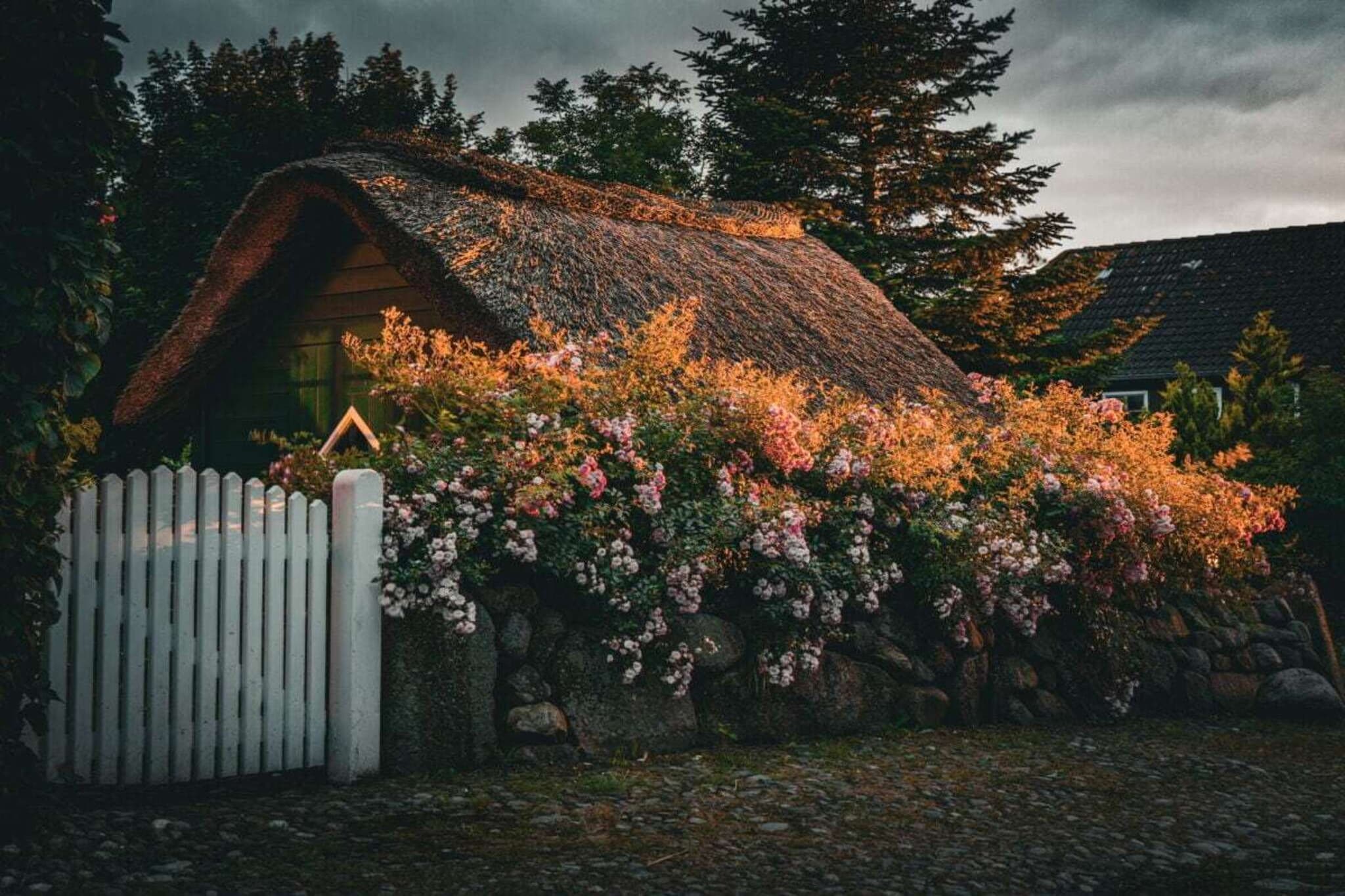 573535-Buitenkant zomer