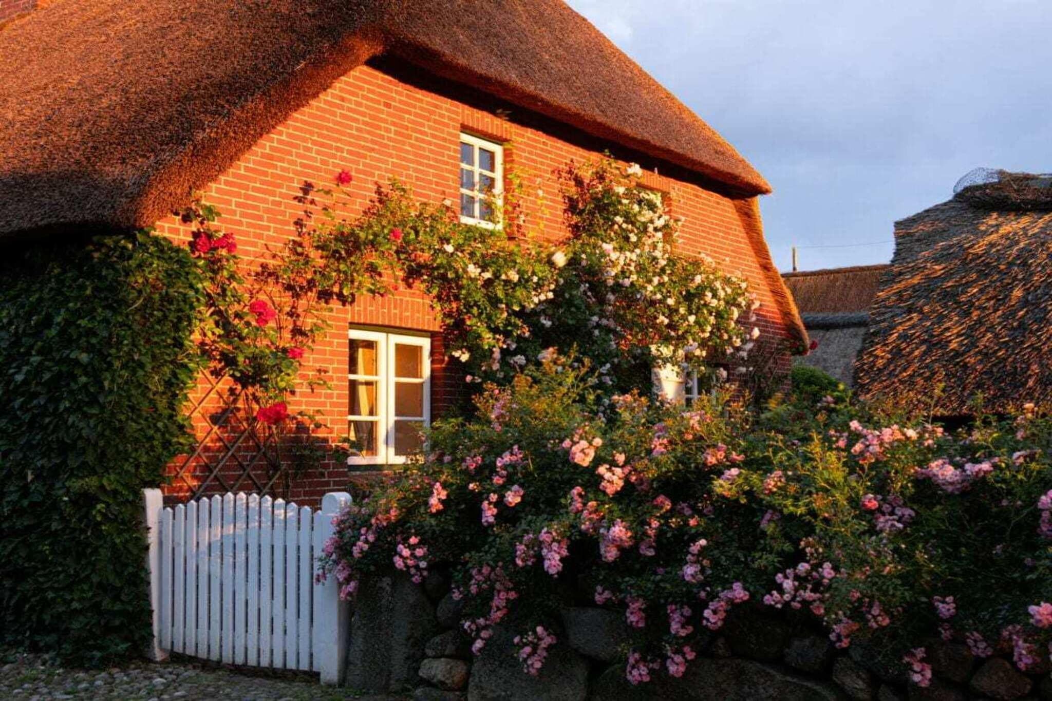 573535-Buitenkant zomer