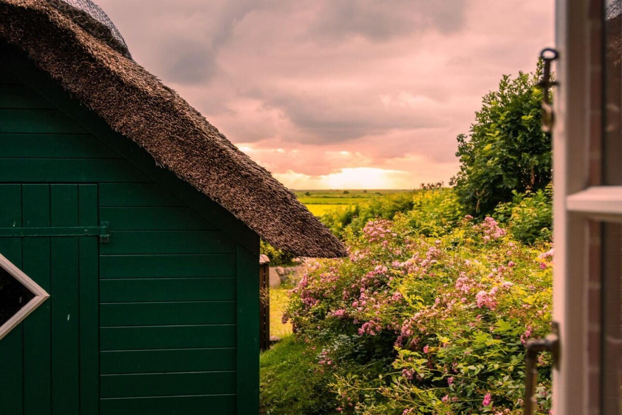573535-Buitenkant zomer