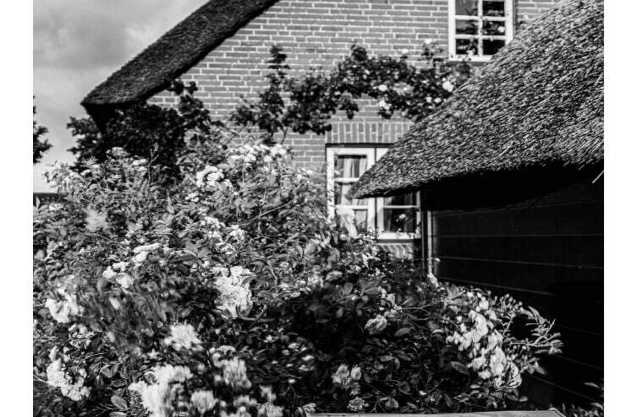 573535-Buitenkant zomer