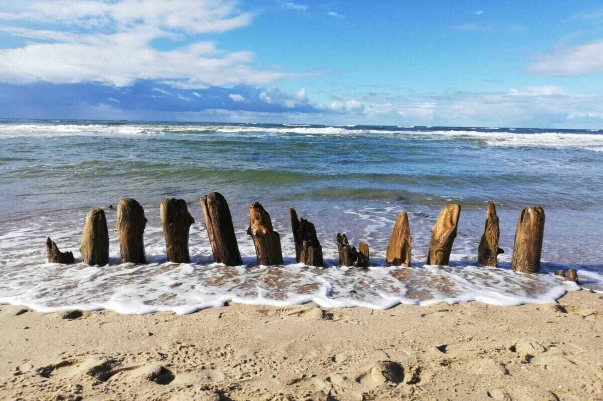 581144-Gebieden zomer 1km