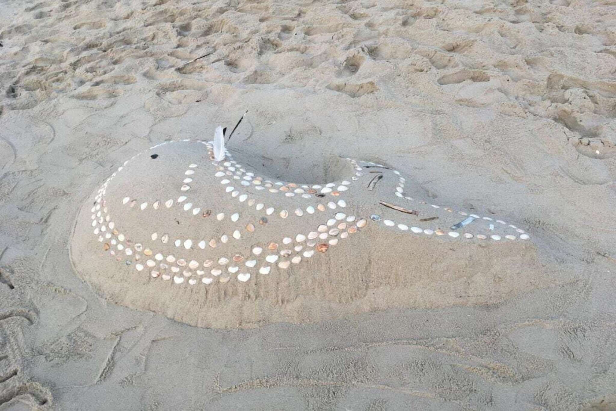 581144-Gebieden zomer 1km