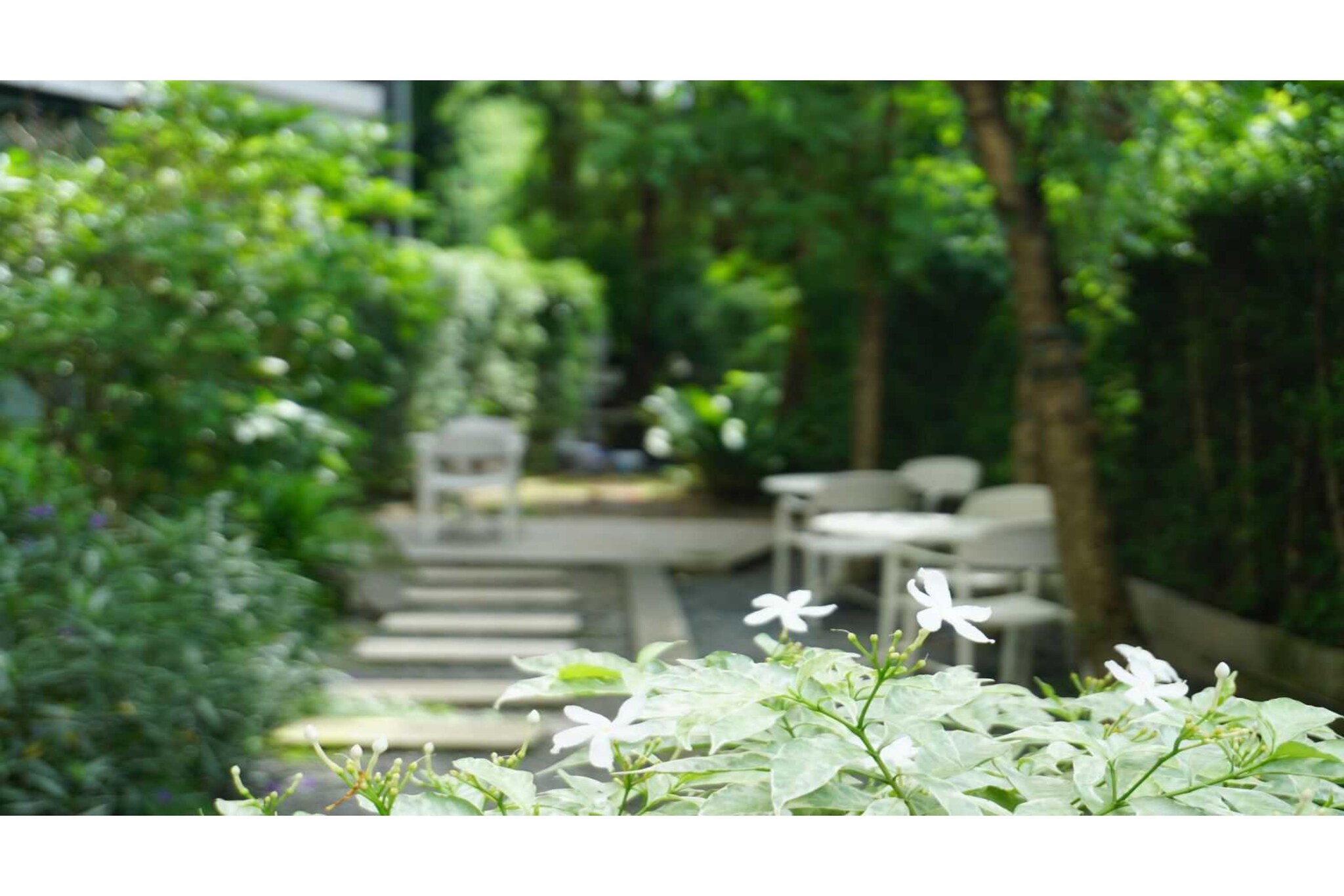 Indulge in upscale living in our Spacious 1BR Suite | Relax in Chiangmai Luxury, offering a separate living area, work desk, and elegant furnishings. Ideal for extended stays or travelers who prefer more room to relax. Guests enjoy premium amenities, free private parking, and proximity to the Chiang Mai International Convention and Exhibition Center.
Guest access
๐ Your Room Includes:
๐ Seating area & ๐ช work desk
๐ Linen, wardrobe, and clothes rack
๐งป Toilet paper, ๐งด free toiletries, ๐ฟ shower, and ๐ช bidet
๐บ Flat-screen TV with ๐ก cable channels
๐ Convenient socket near the bed
๐ Connectivity & Entertainment:
๐ถ Free WiFi in all areas
โ๏ธ Telephone and TV with cable
๐ฌ Comfort & Climate:
โ๏ธ Air conditioning
๐ญ Non-smoking rooms
๐งน Services:
๐งฝ Daily housekeeping
๐ Luggage storage
๐ Private check-in/check-out
๐งพ Invoice provided
๐ Parking:
๐
ฟ๏ธ Free private parking on-site (reservation needed)
๐ณ Outdoor Features:
๐ฅ Outdoor fireplace
๐ช Outdoor furniture
๐ Safety & Security:
๐ฅ Fire extinguishers
๐น CCTV in common areas & outside property
๐จ Smoke alarms & security alarm
๐ Key card access
๐งโ๐ฆฝ Accessibility:
๐ถ Upper floors accessible by stairs only
๐ฃ Languages Spoken:
English
Thai
Other things to note
๐ Check-in:
From 2:00 PM to 12:00 AM
๐ Check-out:
Until 12:00 PM