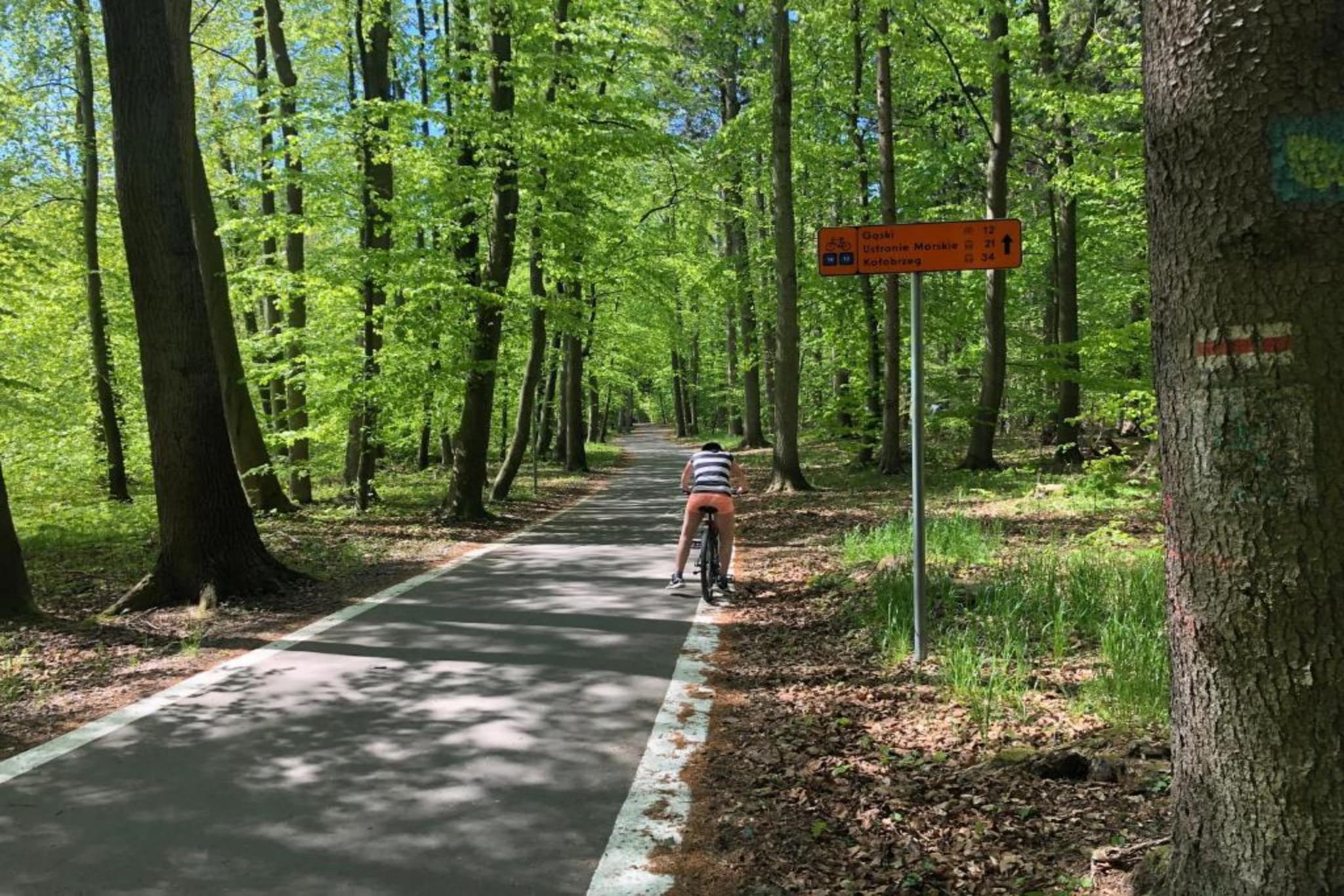 Piętrowe domki wakacyjne dla max 6 osób Mielenko - Gebieden zomer 5km