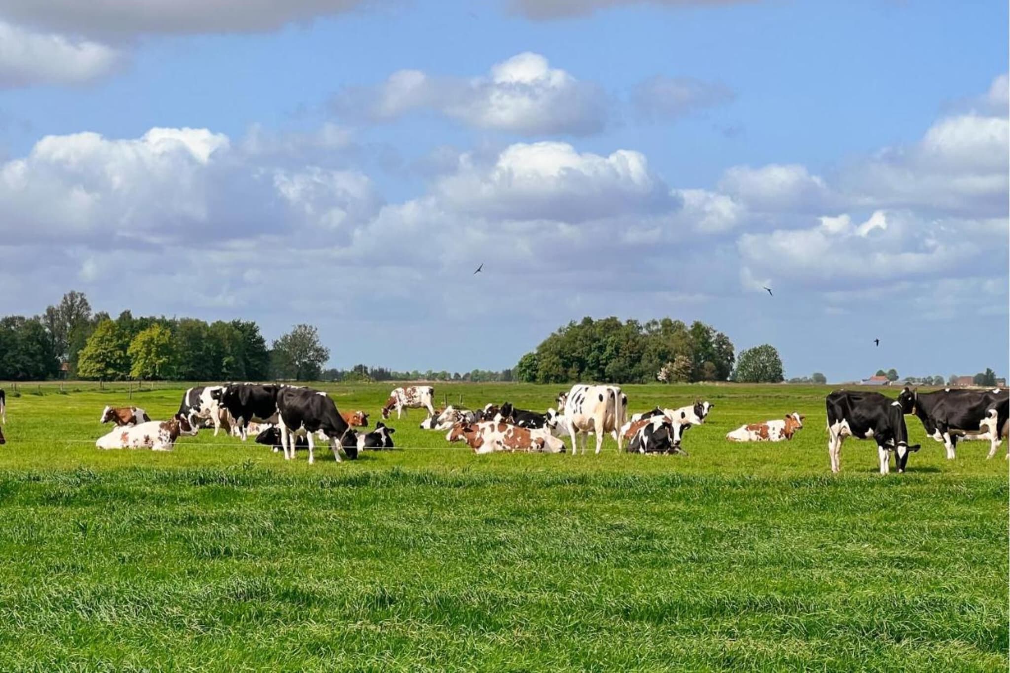 Docklodge 42-Gebiete Sommer 20 km