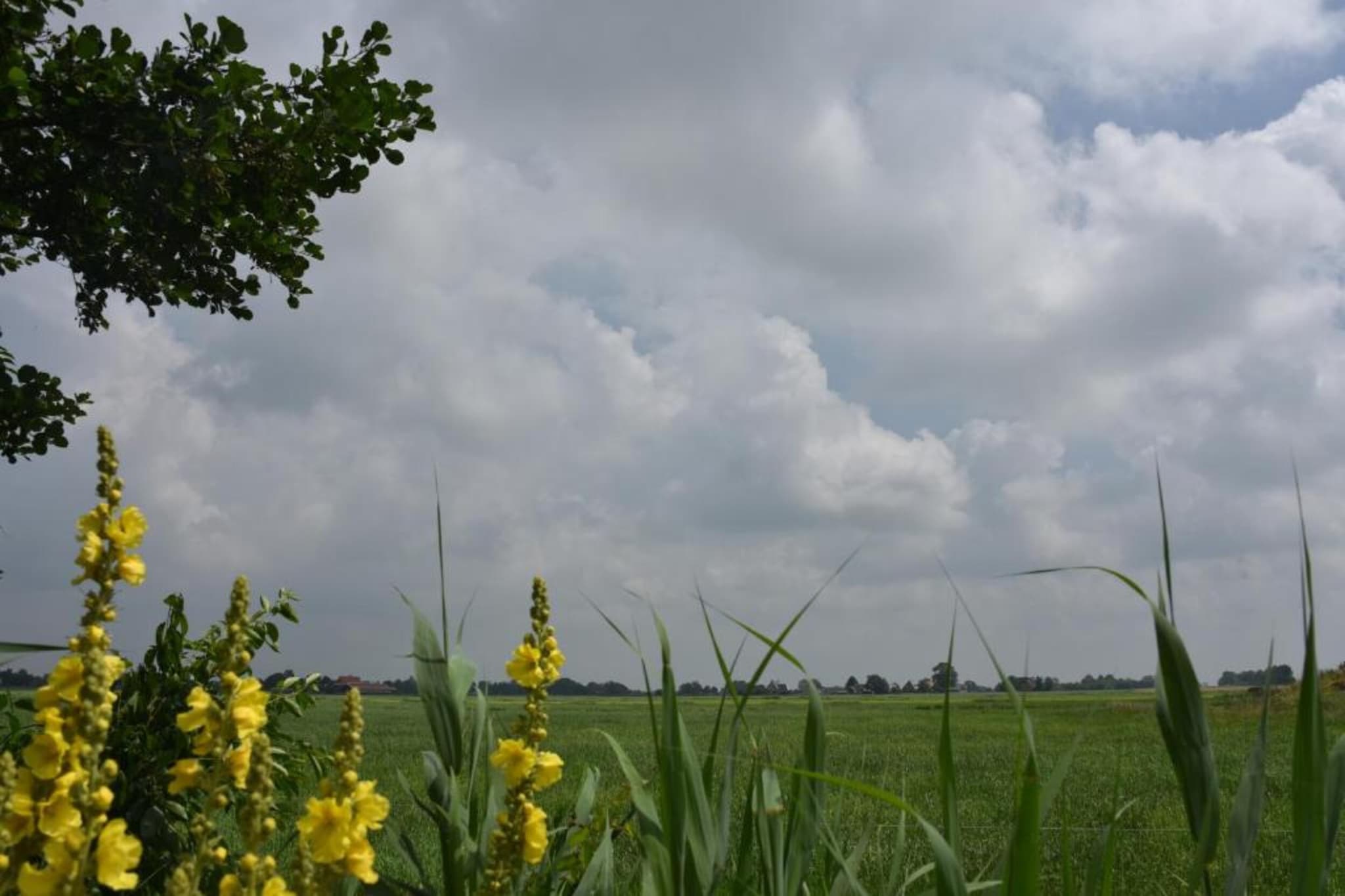 Docklodge 42-Gebiete Sommer 20 km