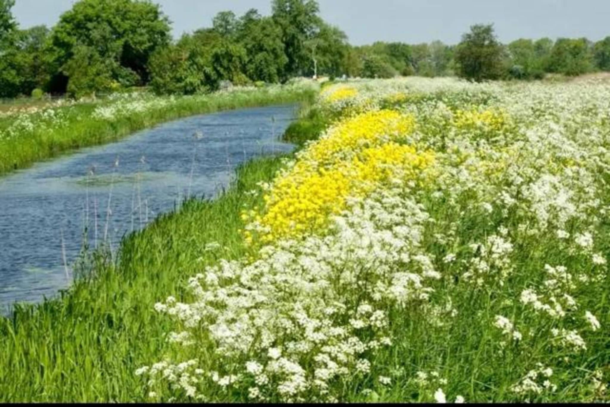 Docklodge 42-Gebiete Sommer 20 km