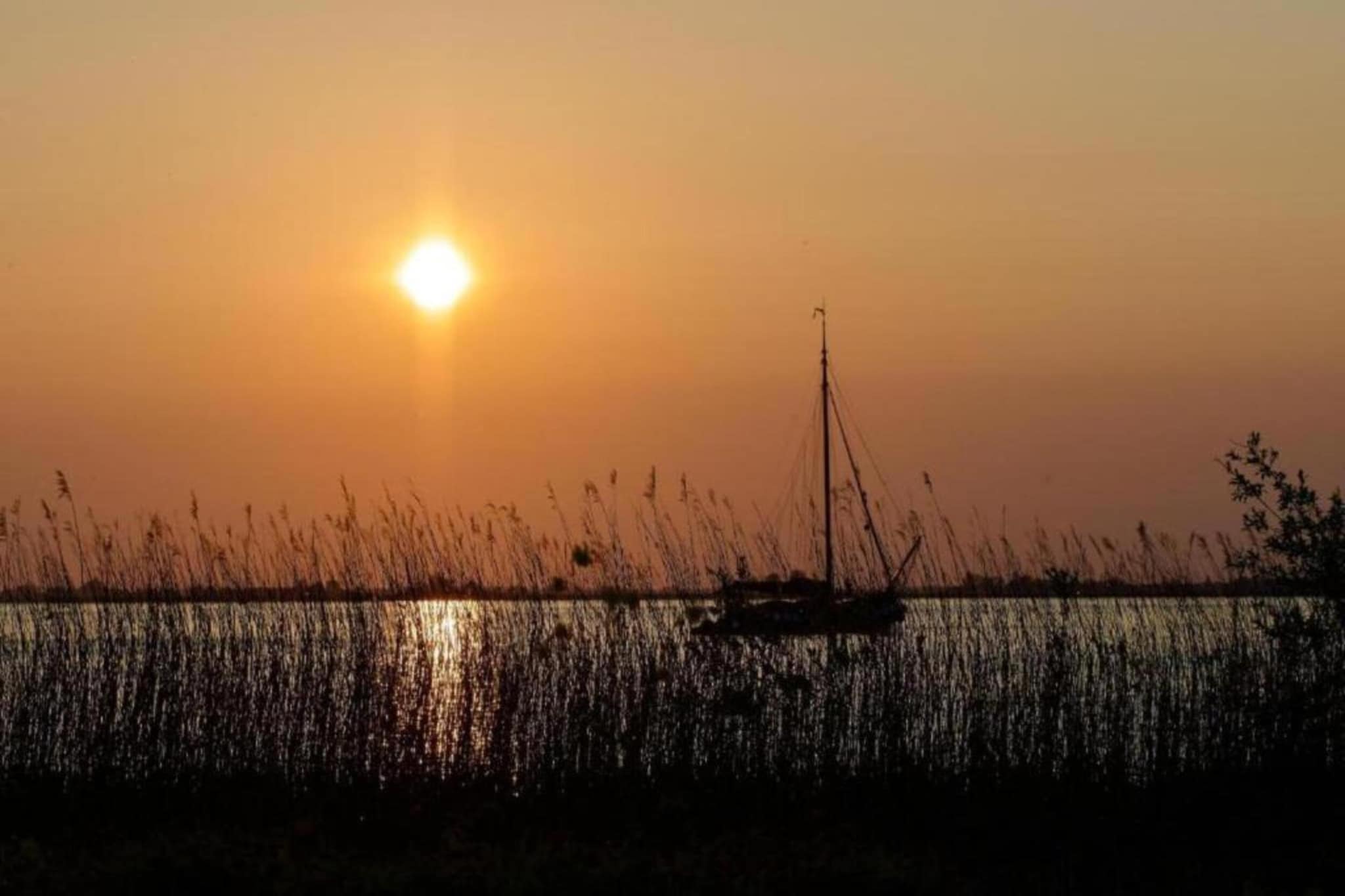 Docklodge 28-Gebieden zomer 5km