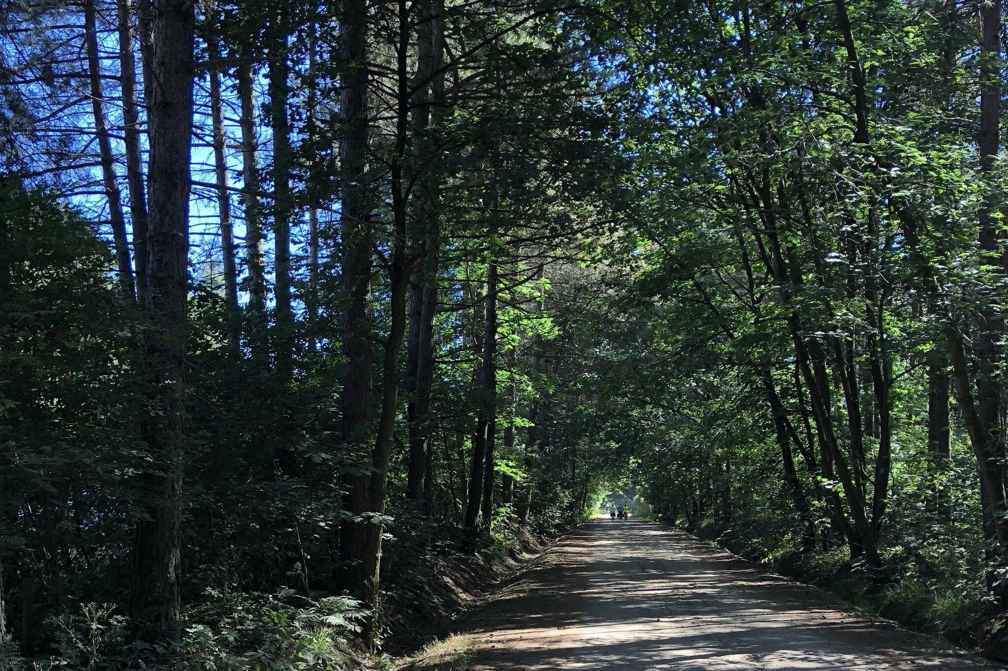 Area Summer5 K M