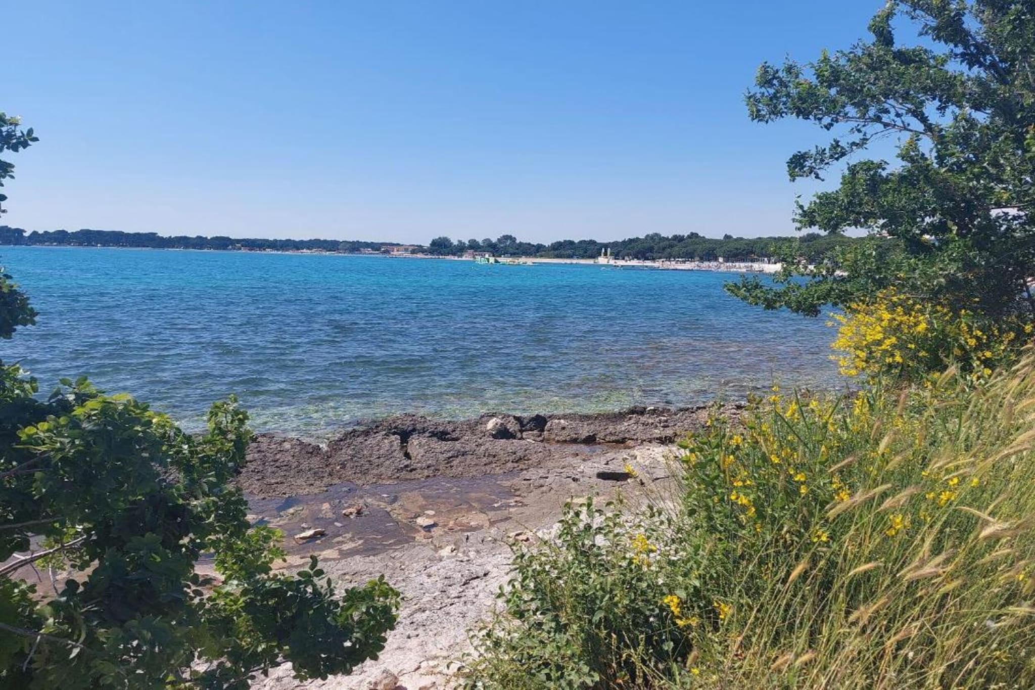 Cesare 3 - Modern Apartment with Shared Pool-Gebieden zomer 5km