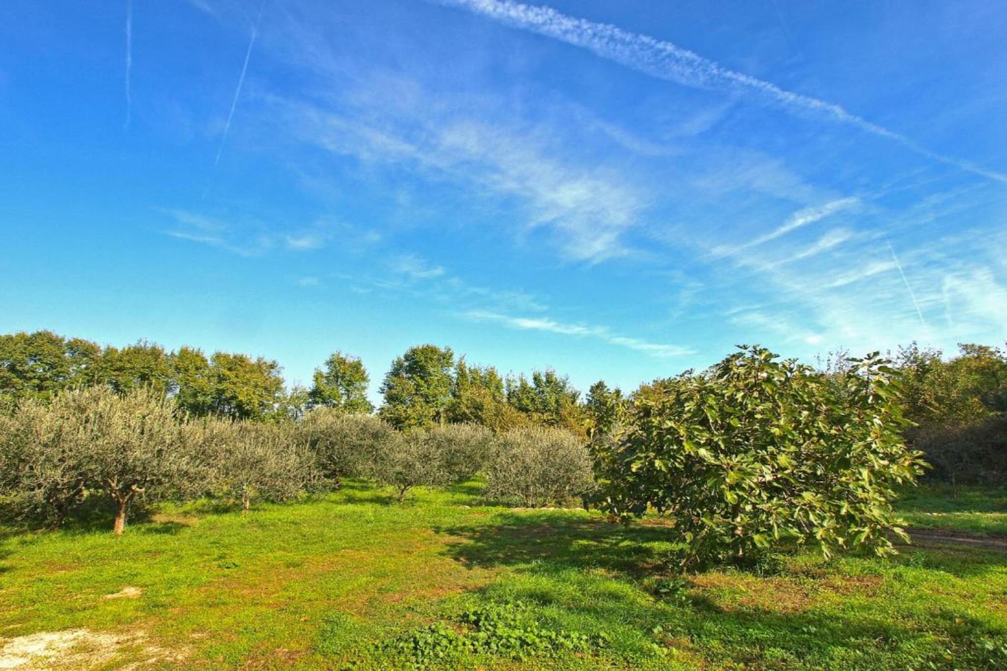 Holiday Home Dori with Big Garden-Gebieden zomer 5km