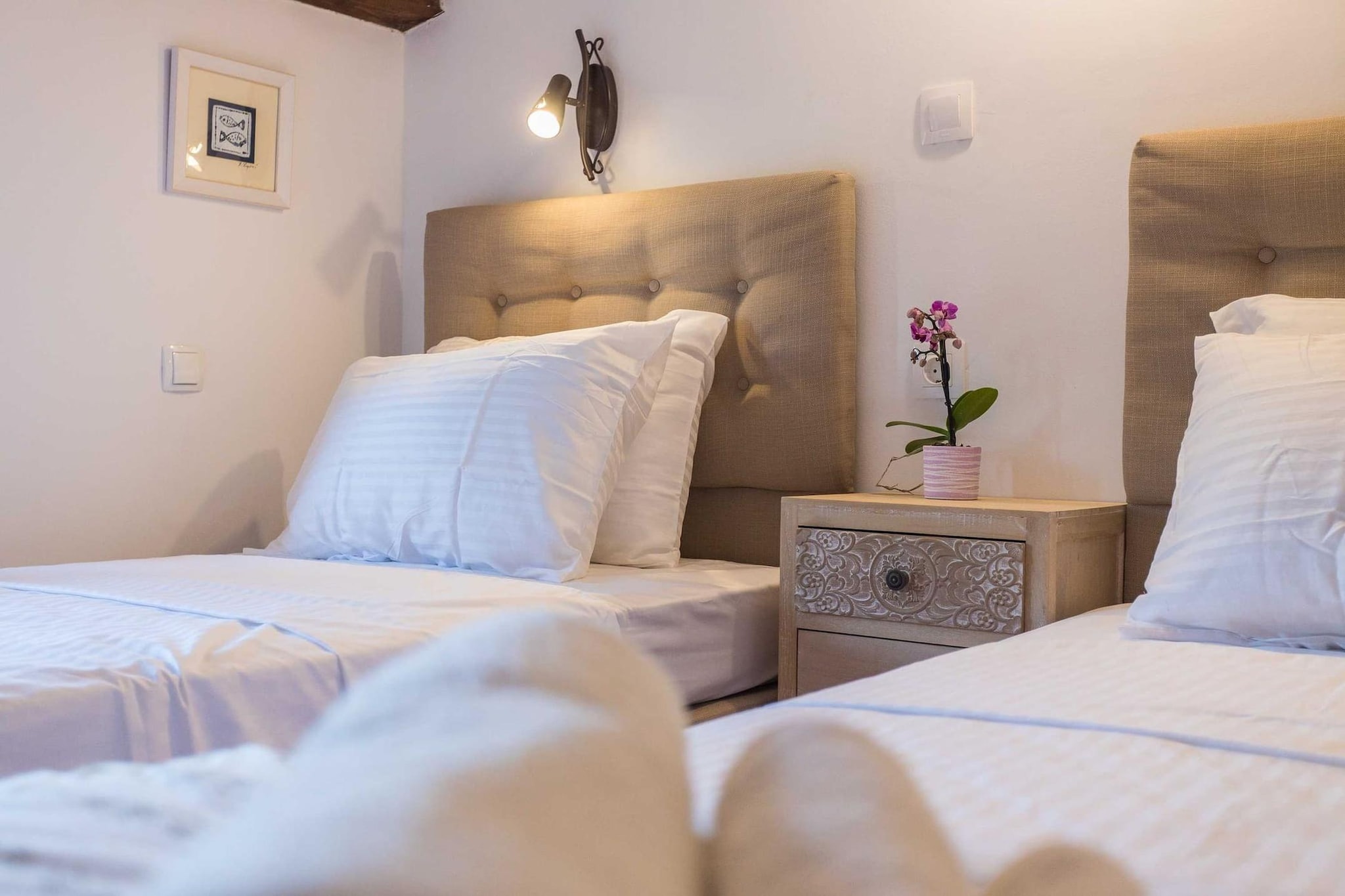 Casa Vala Romana - Big Garden, Jacuzzi, Free Bikes - Sfeer