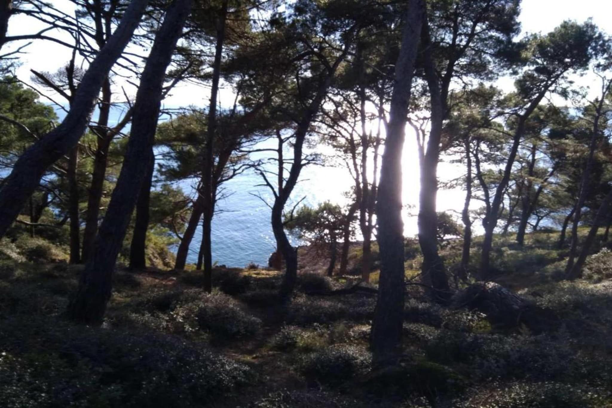 Apartment Banjole - 200 m from the Beach-Gebieden zomer 20km