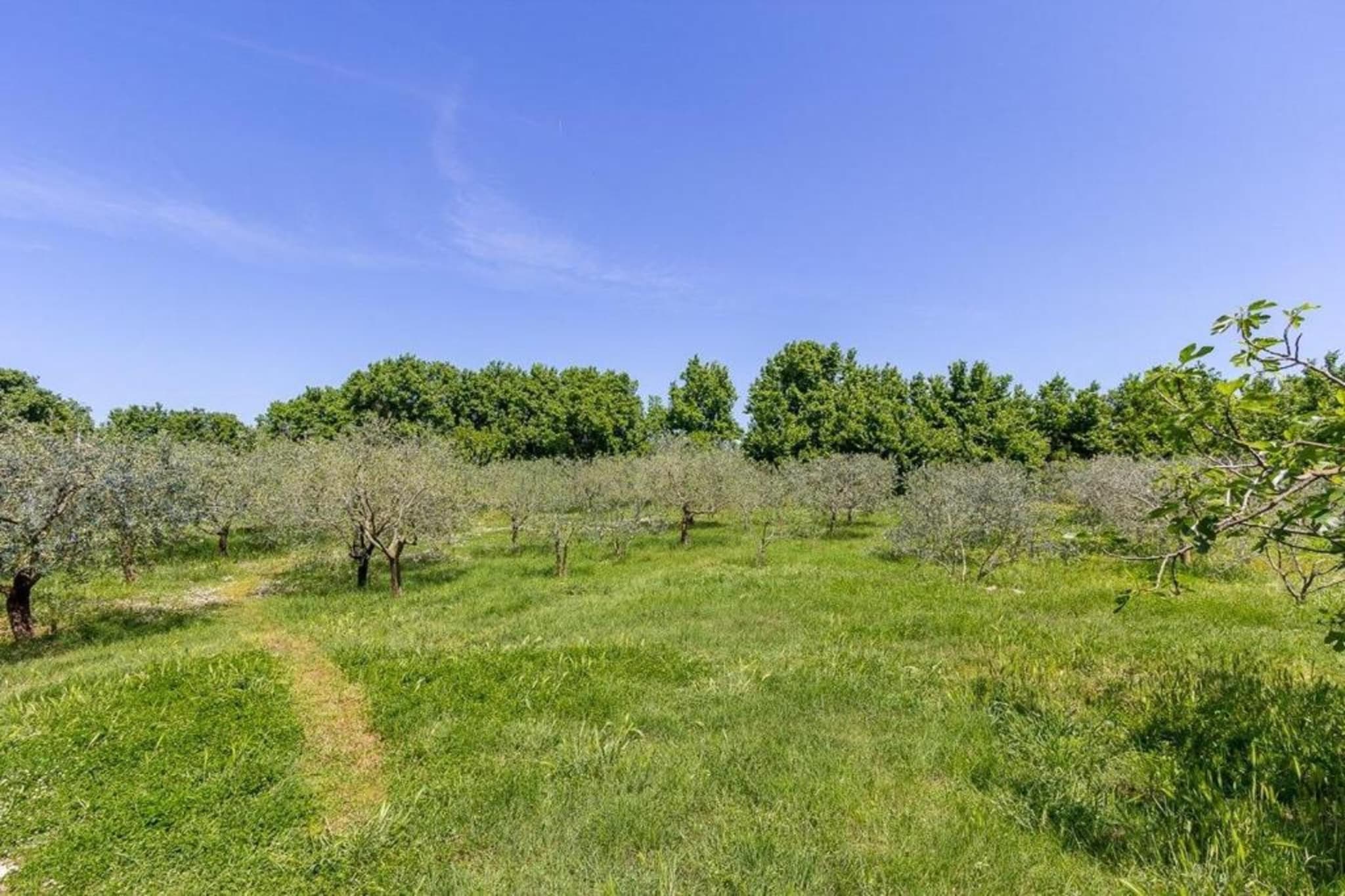 Holiday Home Doda - City Center of Fazana-Gebieden zomer 5km