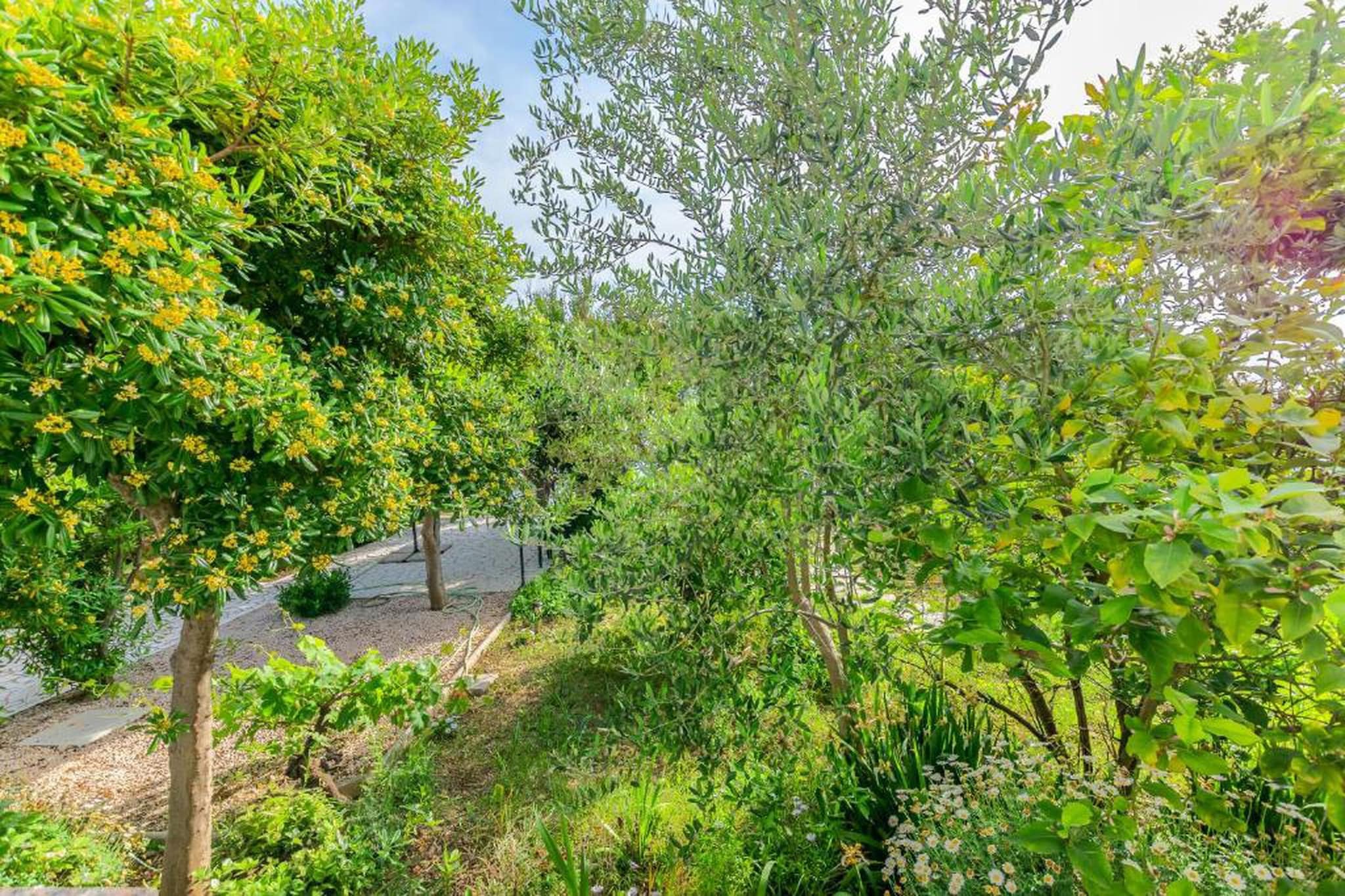 Blanka B2 - Shared Jacuzzi, Magical Garden-Gebieden zomer 20km