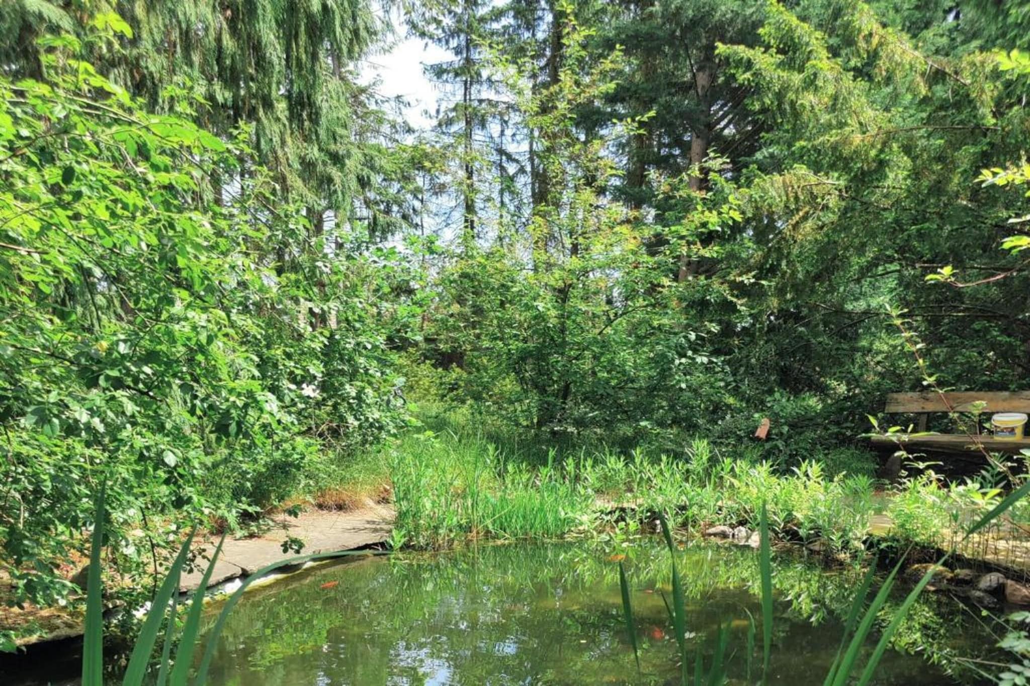 Waldzauber-Areas summer 20km