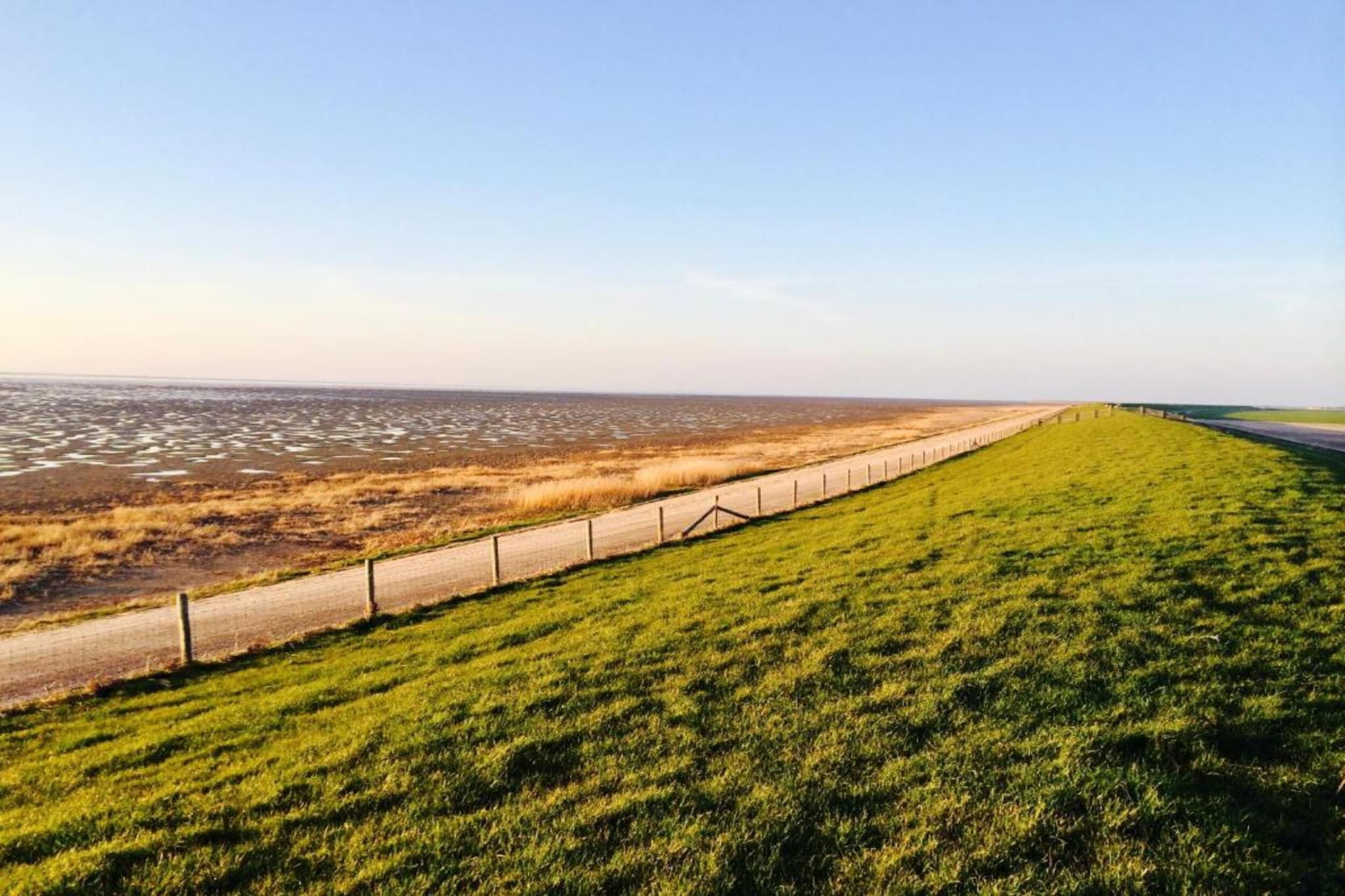 Bargereed 90-Areas summer 5km