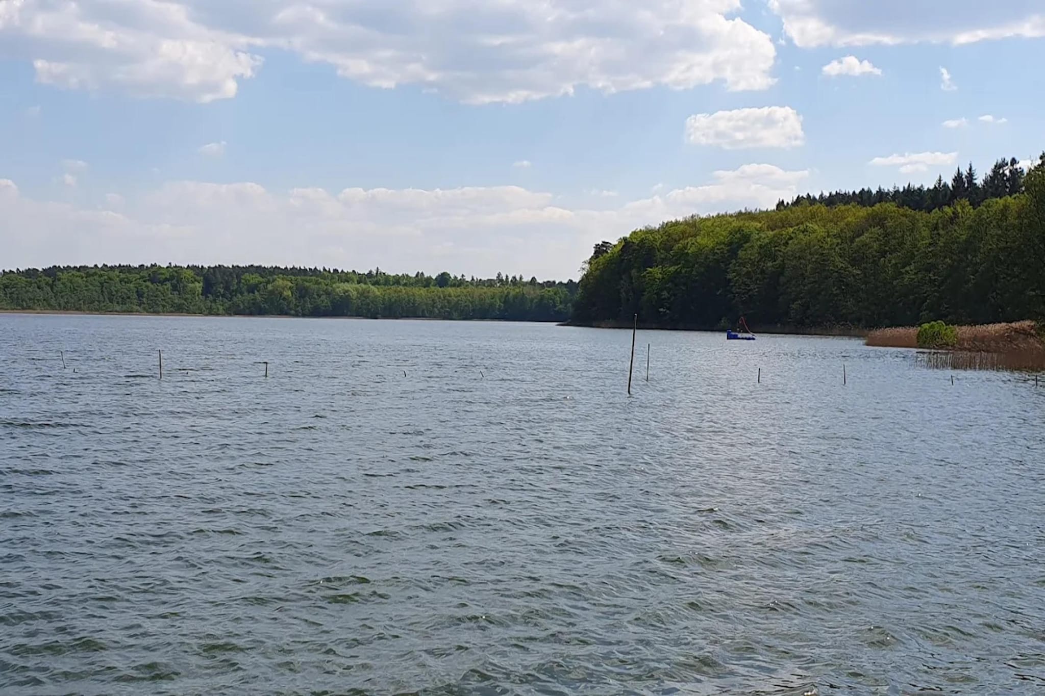Ferienwohnung Weitblick-Gebieden zomer 5km