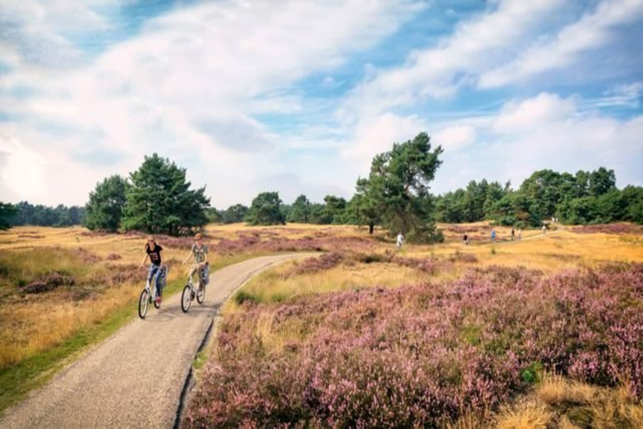 Veluwe Chalet in Putten nabij centrum-Gebieden zomer 20km