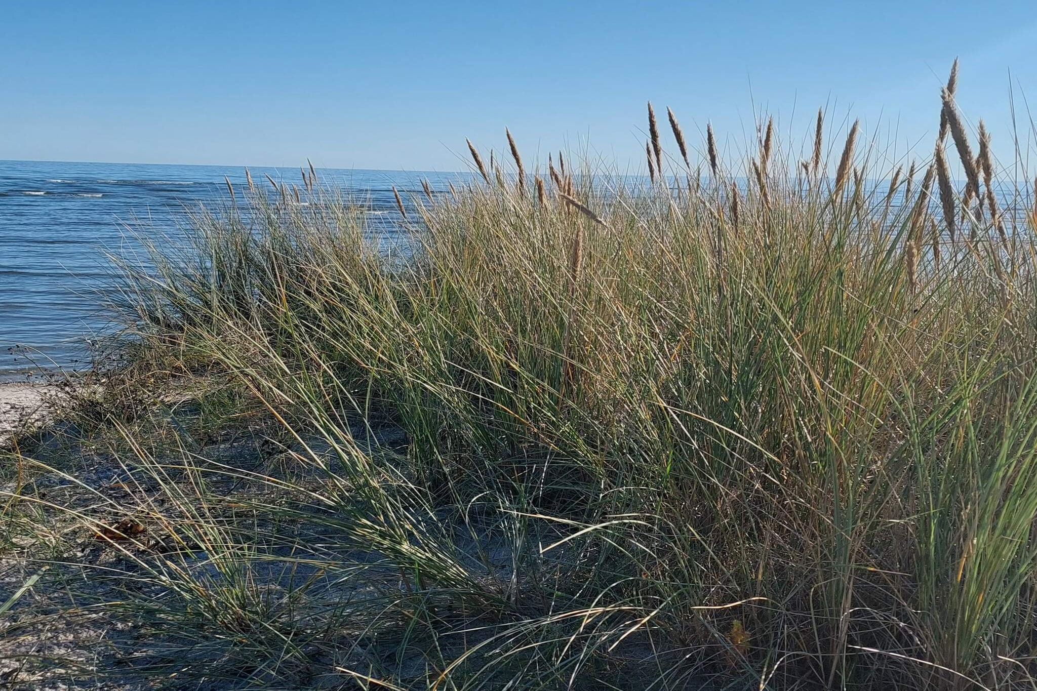 4 sterren vakantie huis in Hals-Waterzicht