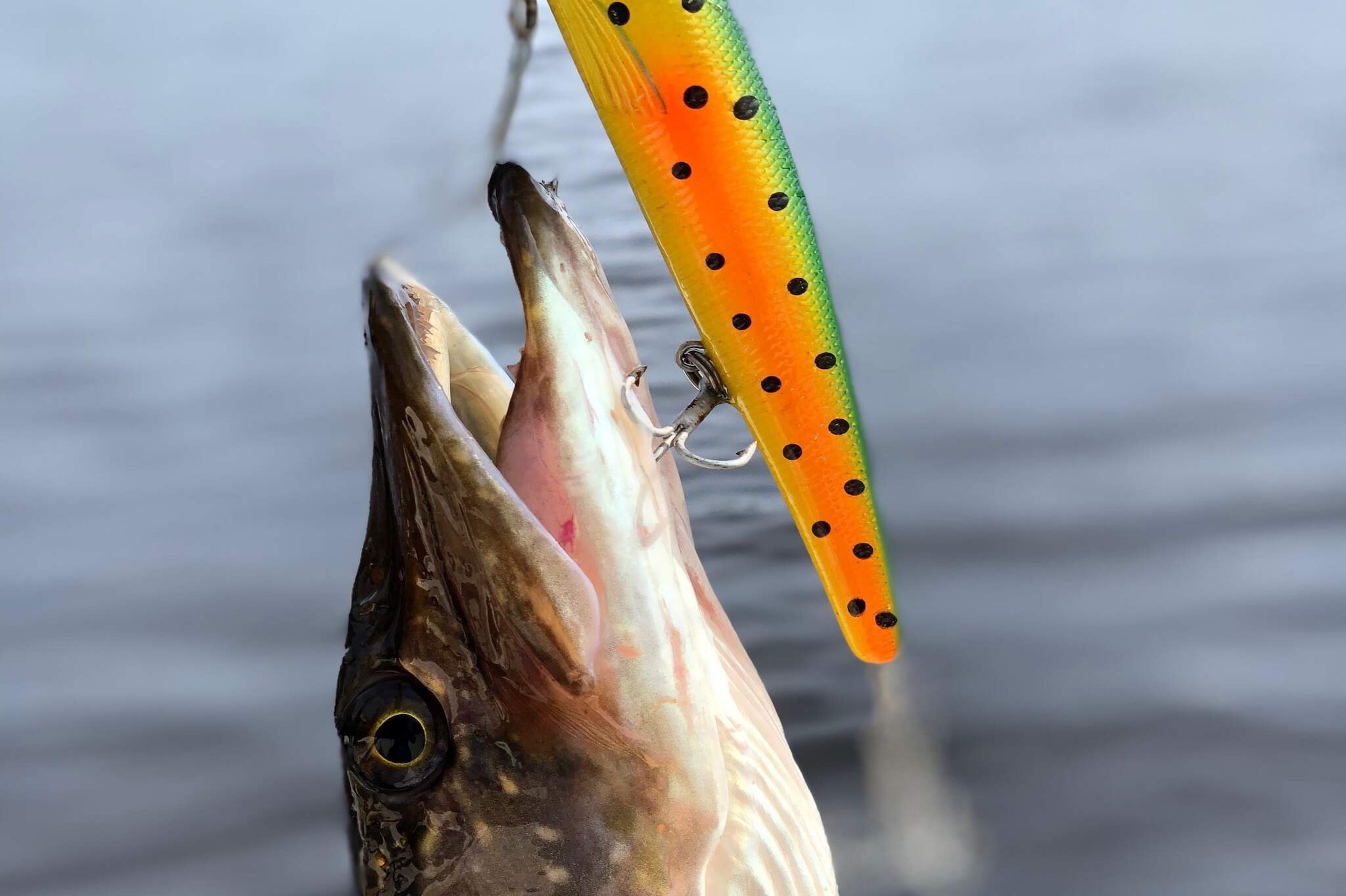 4 star holiday home in Molkom