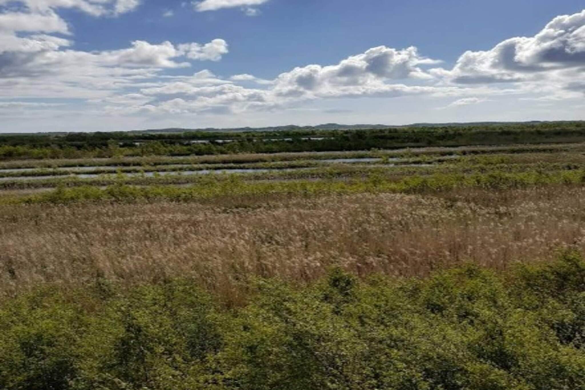Maison de vacances pour 7 a Væggerløse-Extérieur