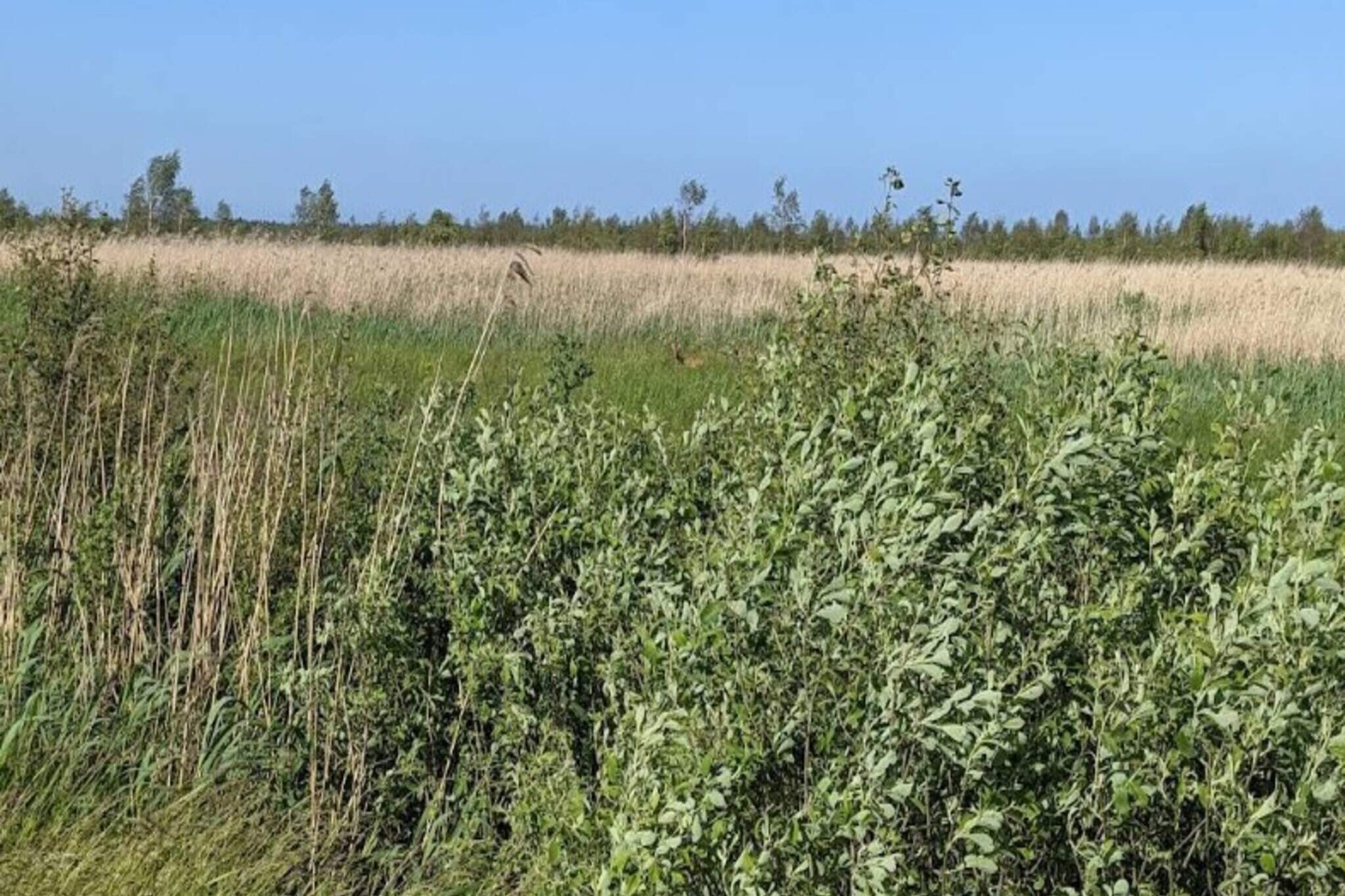 Maison de vacances pour 7 a Væggerløse-Extérieur